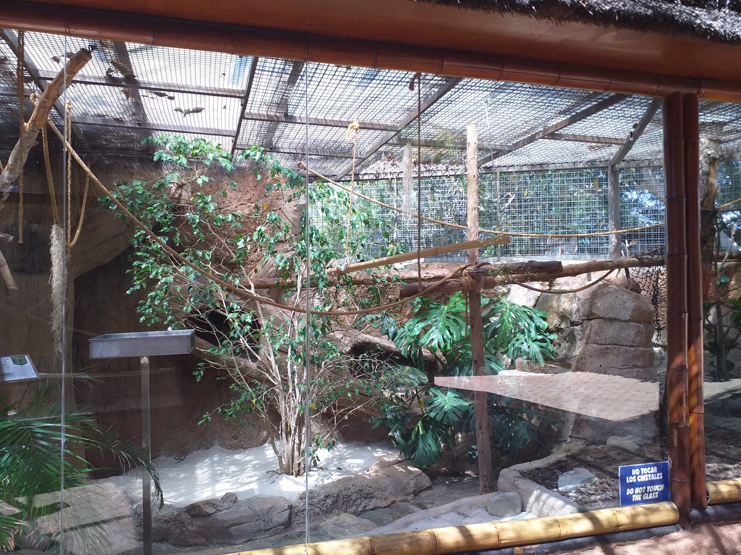 Red-handed tamarin exhibit -MundoMar Benidorm (2021)