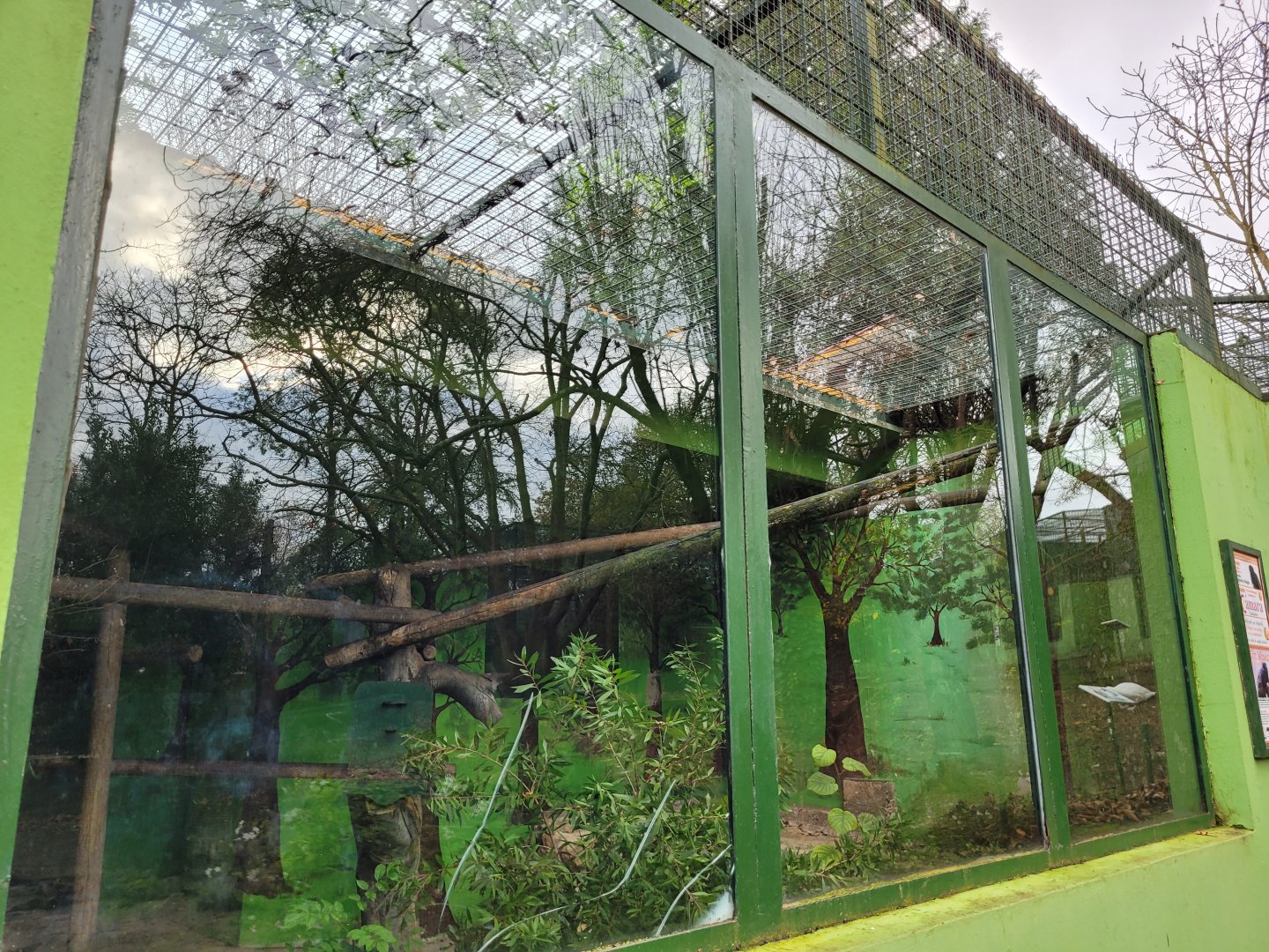 Red-handed tamarin exhibit -Zoo de Santillana del Mar (2023)