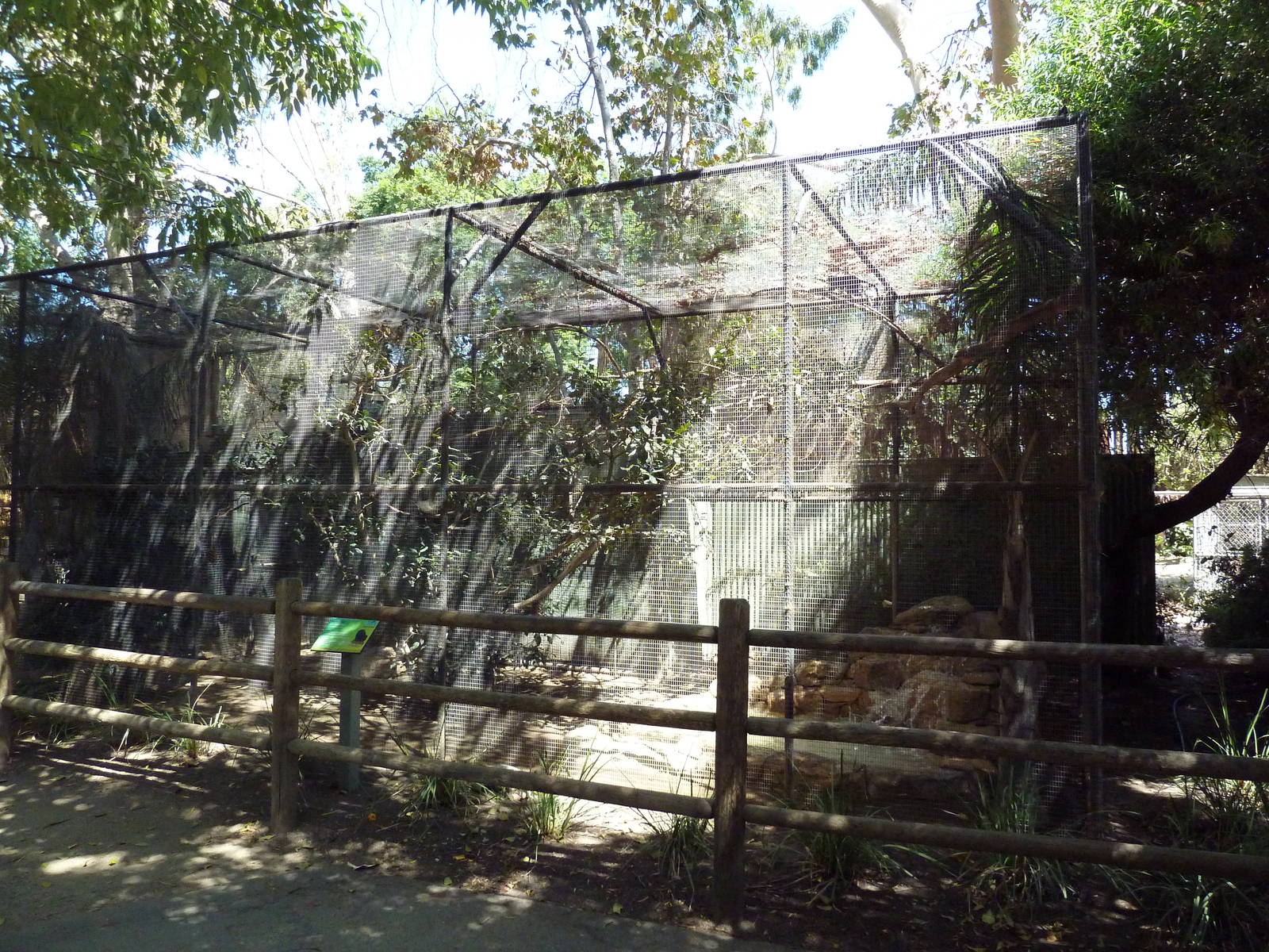 Red-Handed Tamarin Exhibit