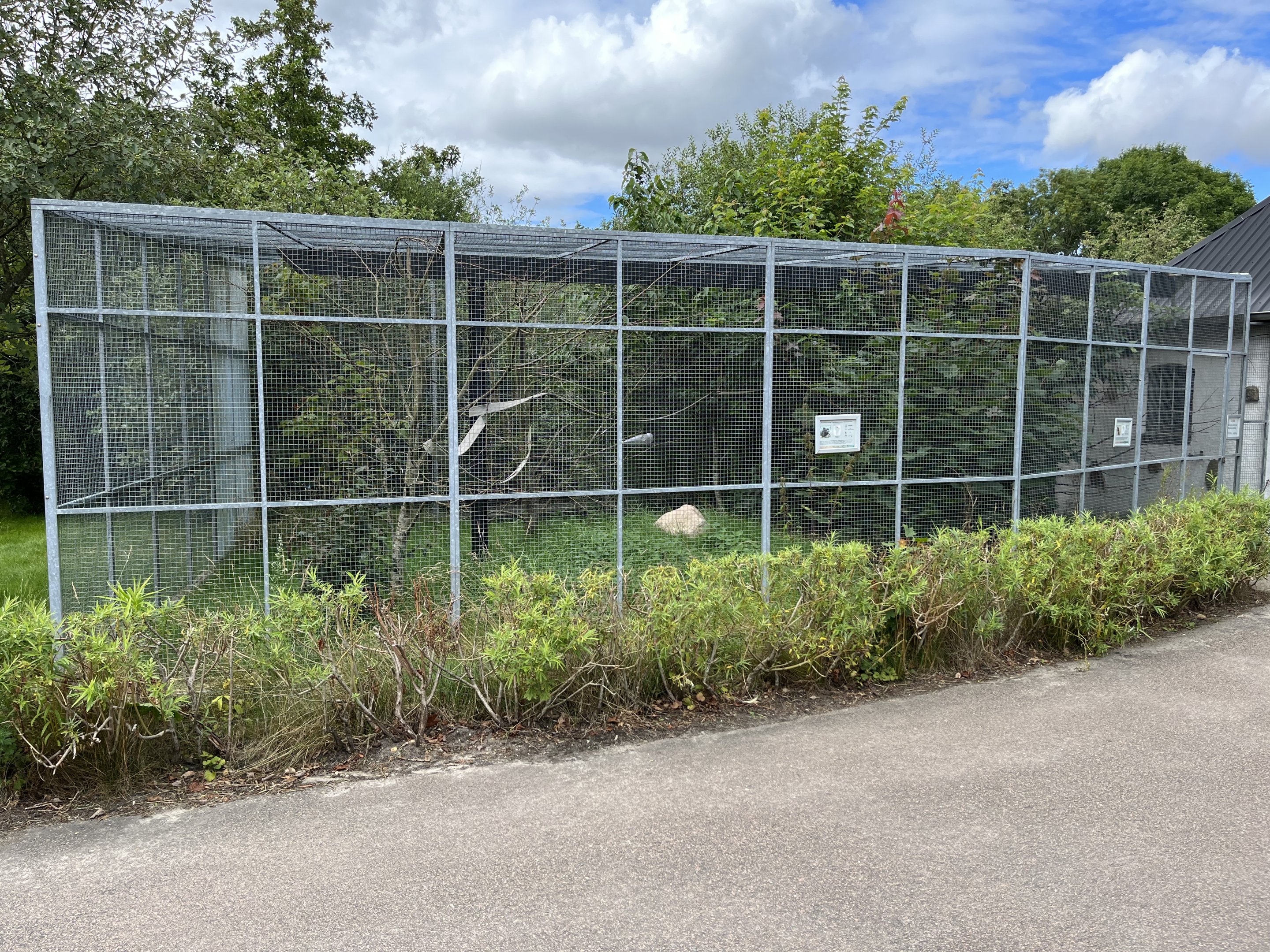 Red-handed Tamarin Exhibit