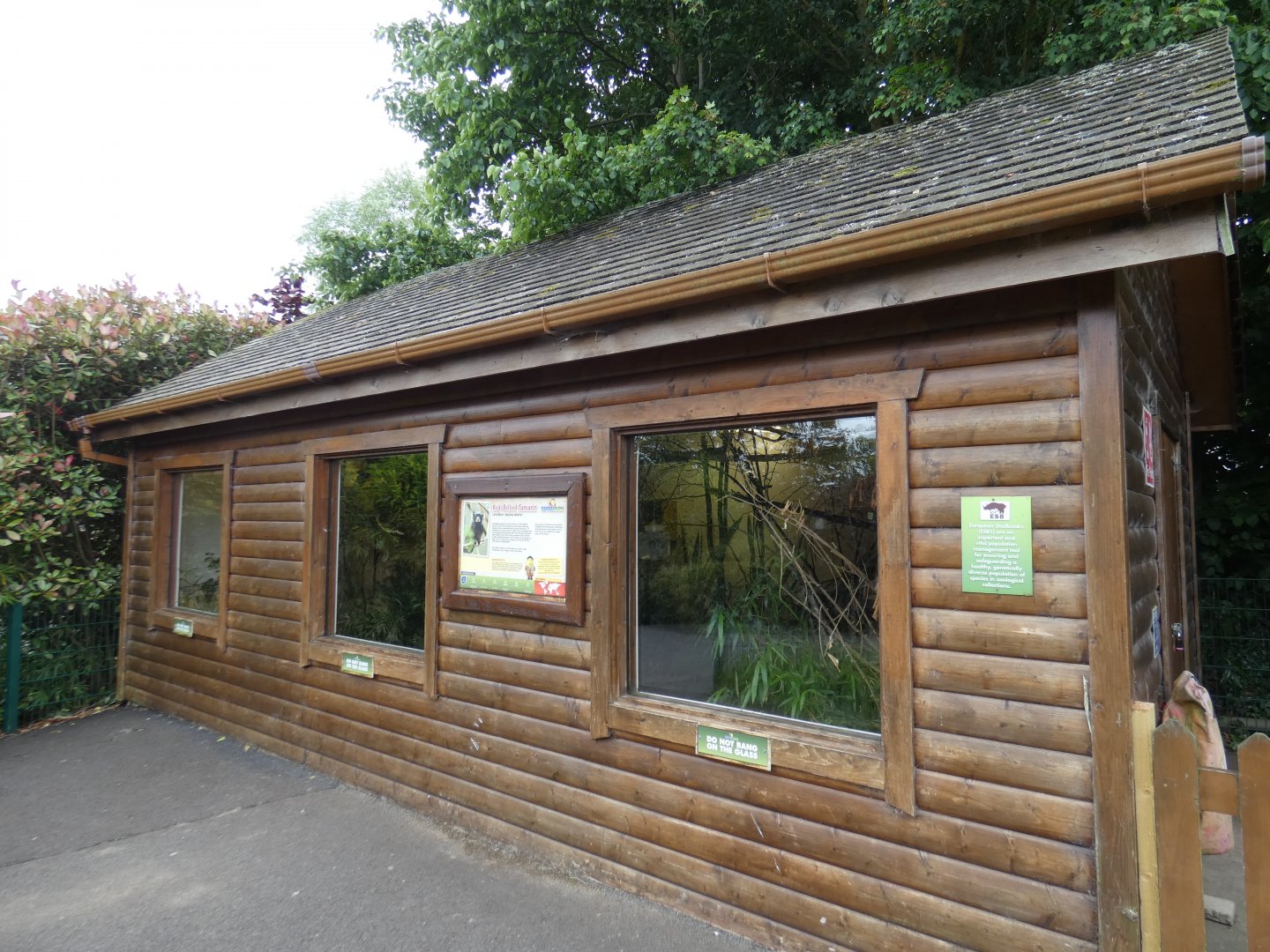 Red-handed tamarin house