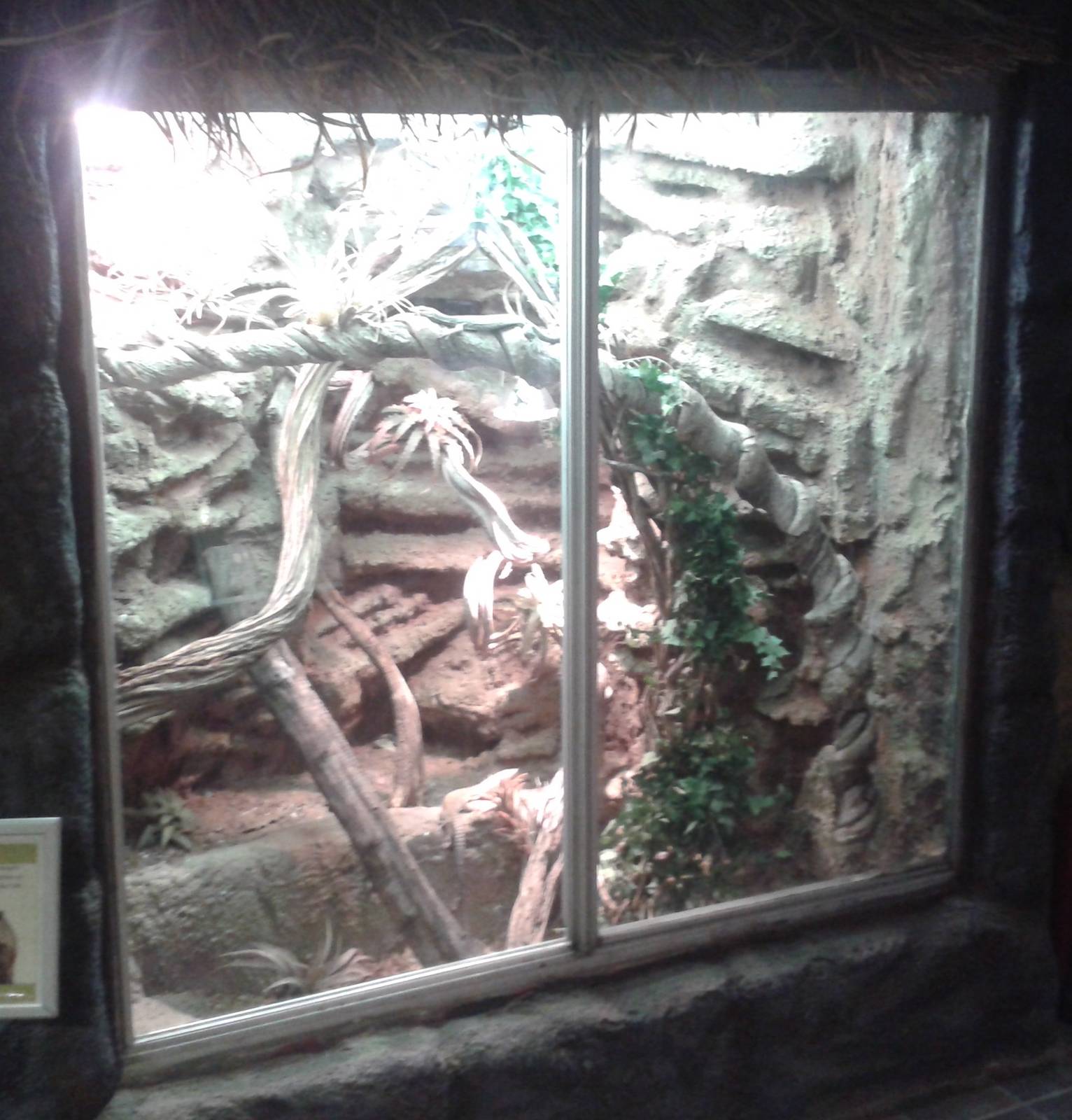 Red-headed monitor enclosure