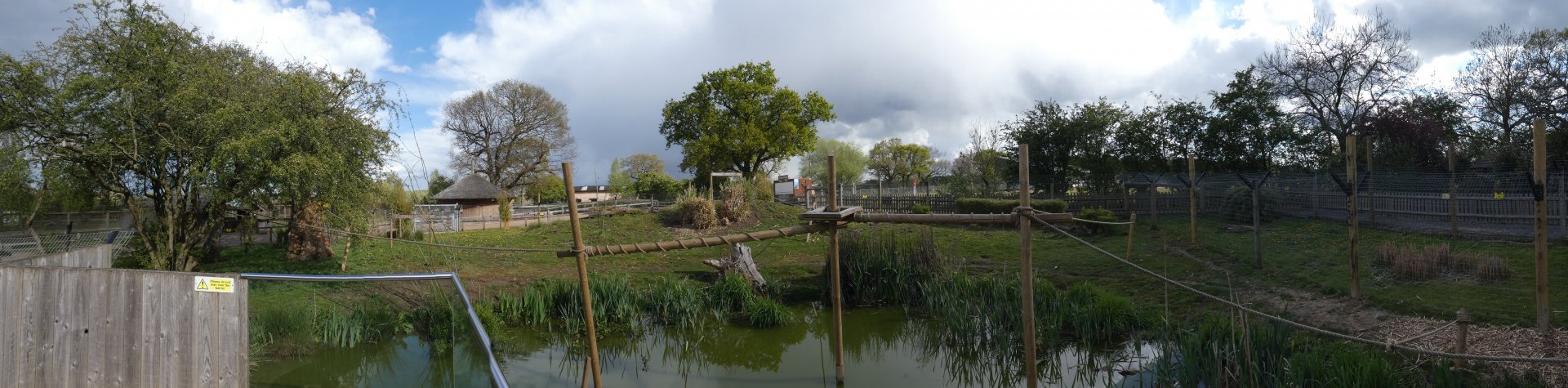 Red howler and giant anteater enclosure (2)