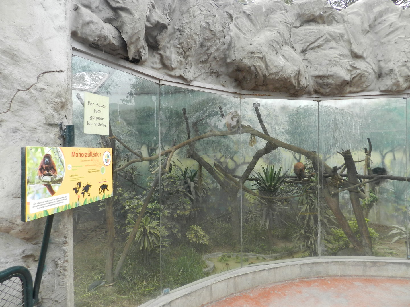 Red howler monkey exhibit - Parque Zoológico Huachipa