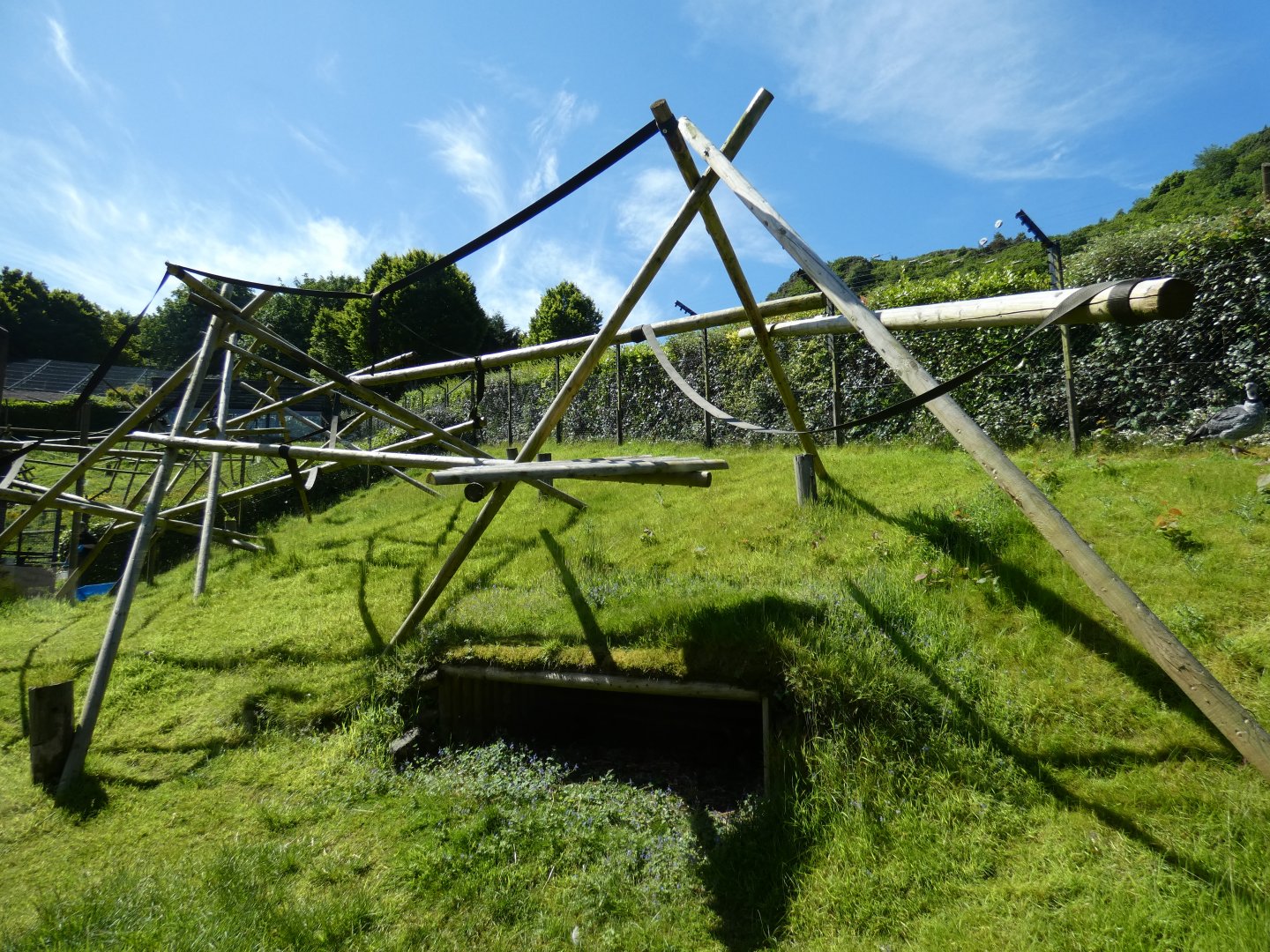 Red howler, pudu and Southern screamer enclosure