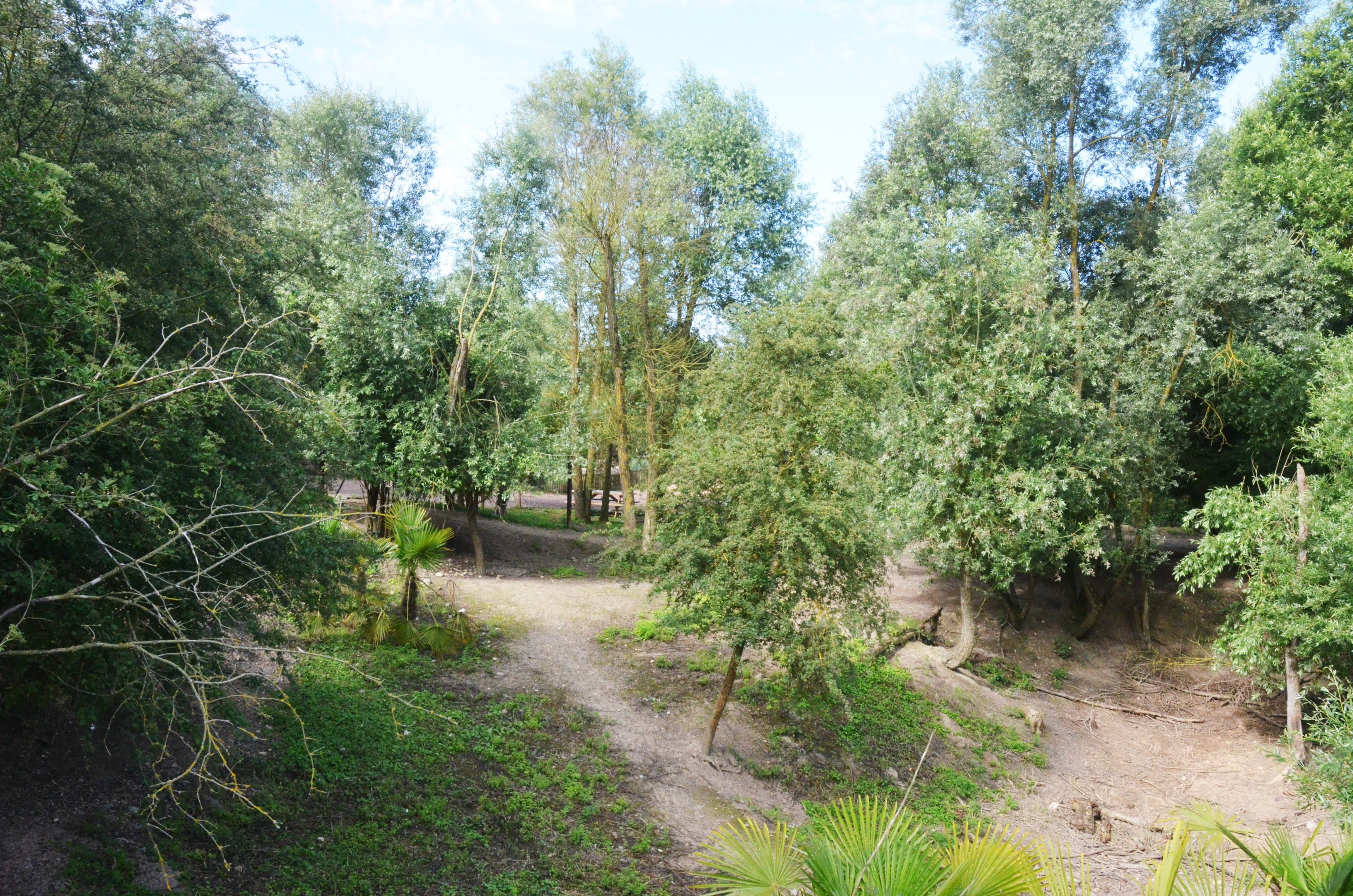 Red Kangaroo and Agile Wallaby Enclosure at Biotropica, 16/06/18