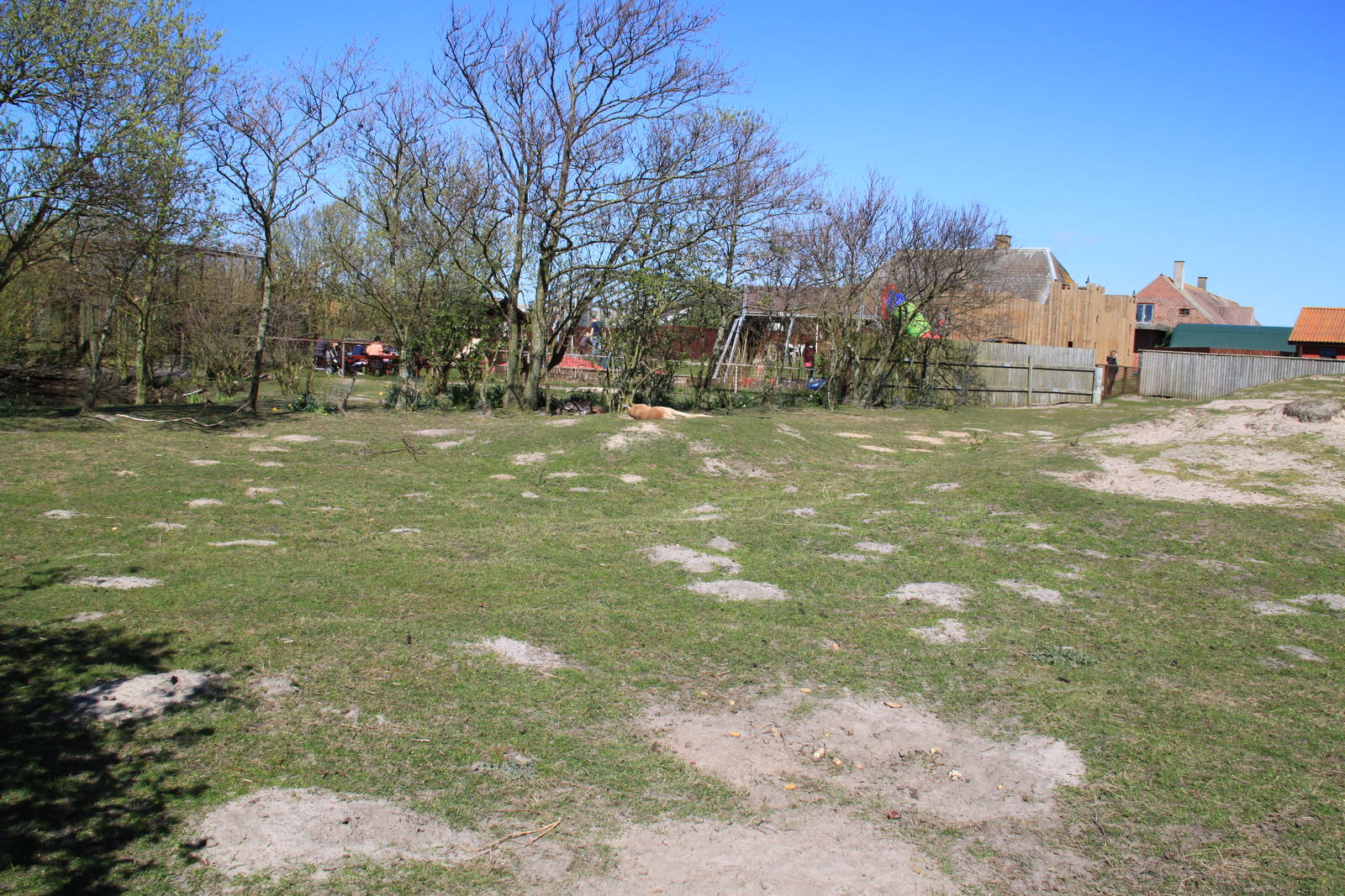 Red Kangaroo and Bennett's Wallaby Enclosure