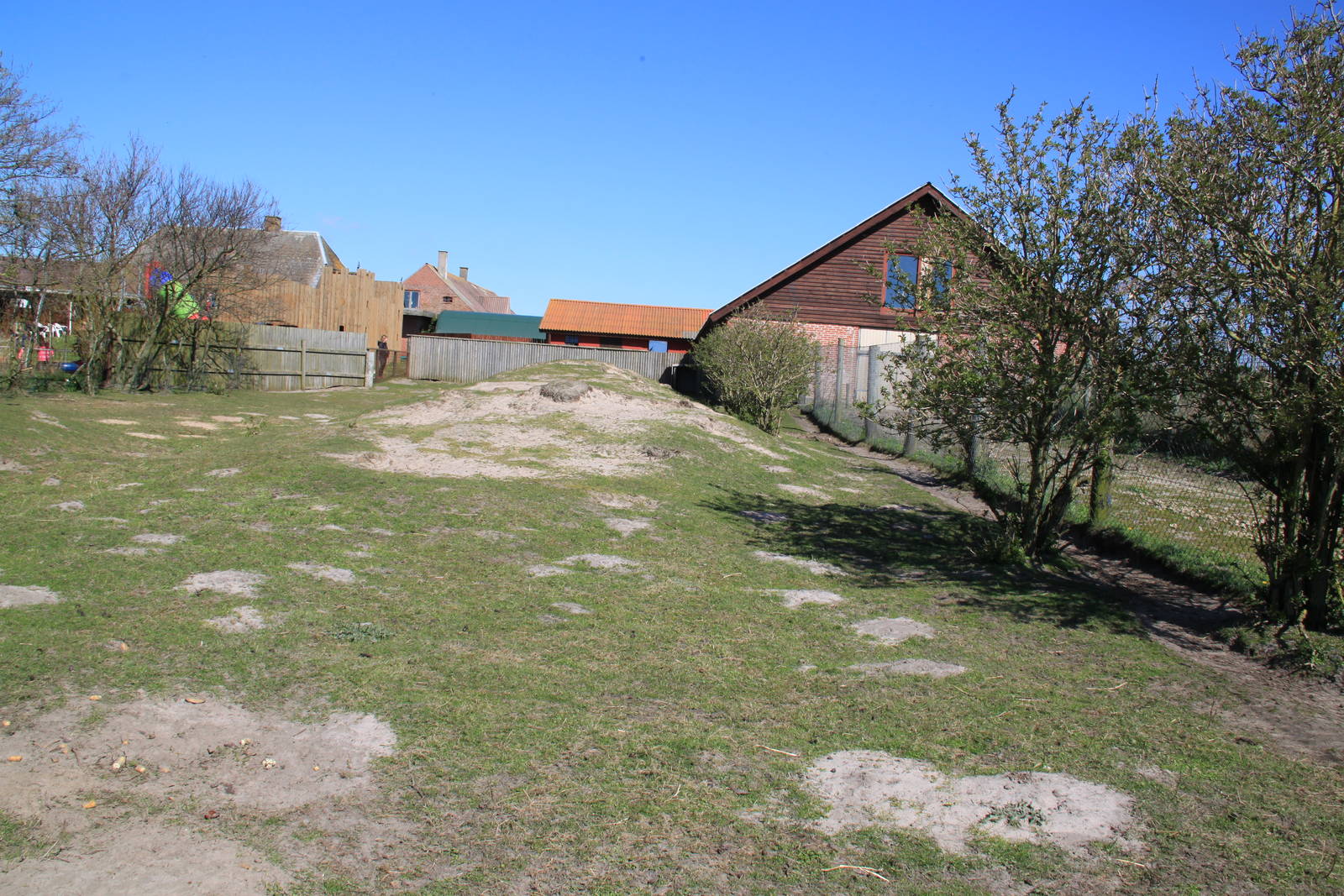 Red Kangaroo and Bennett's Wallaby Enclosure