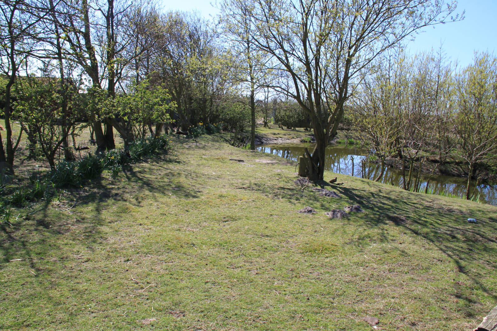 Red Kangaroo and Bennett's Wallaby Enclosure