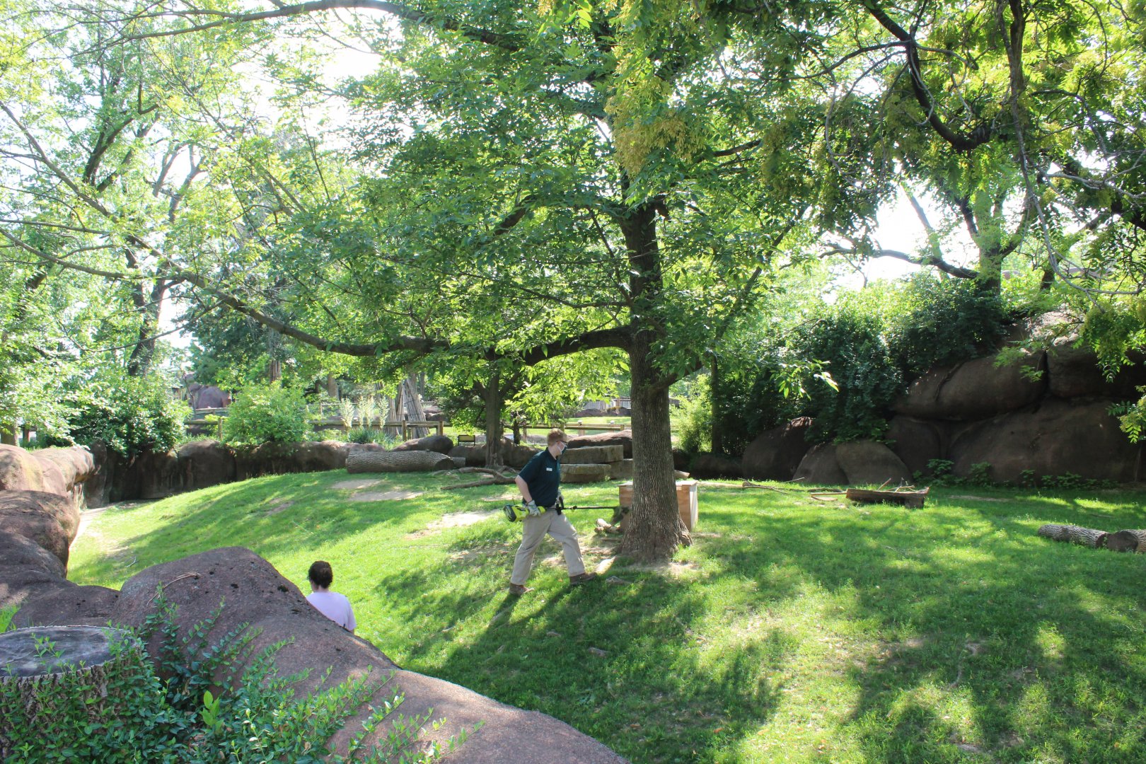 Red Kangaroo and Bennett's Wallaby Exhibit - Red Rocks
