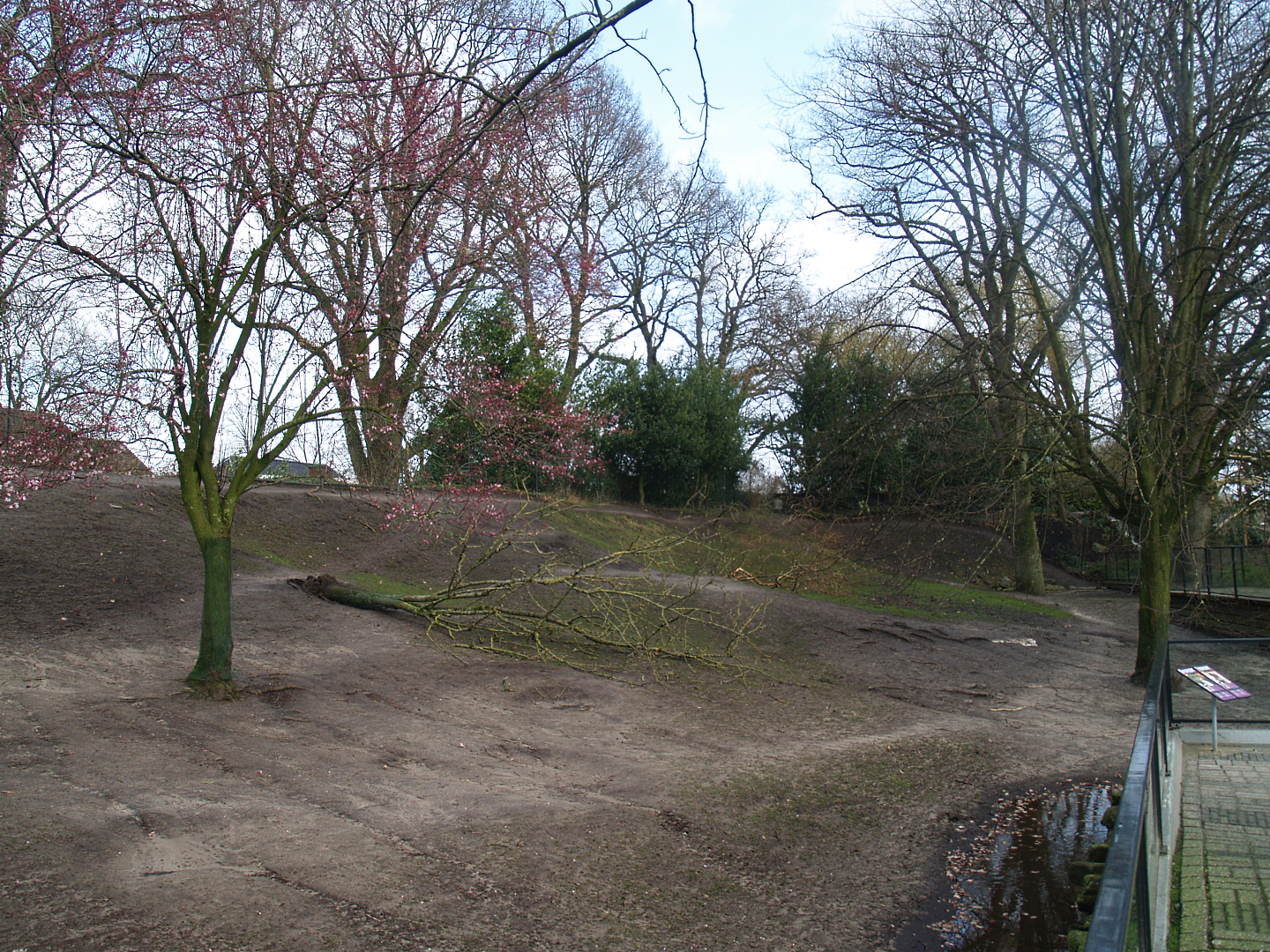 Red kangaroo and Emu exhibit, 2008-03-01