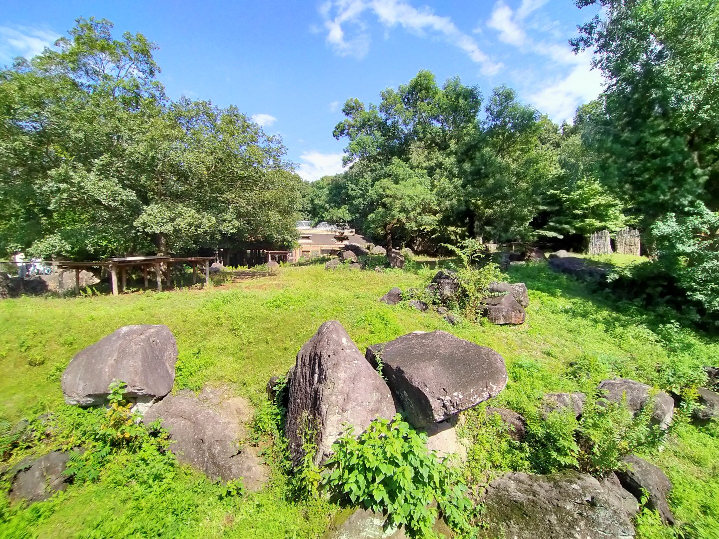 Red kangaroo and emu exhibit