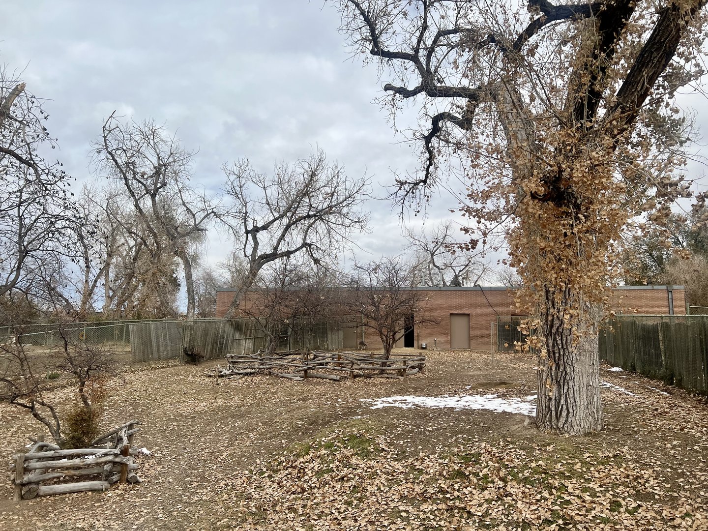 Red Kangaroo and Emu Exhibit