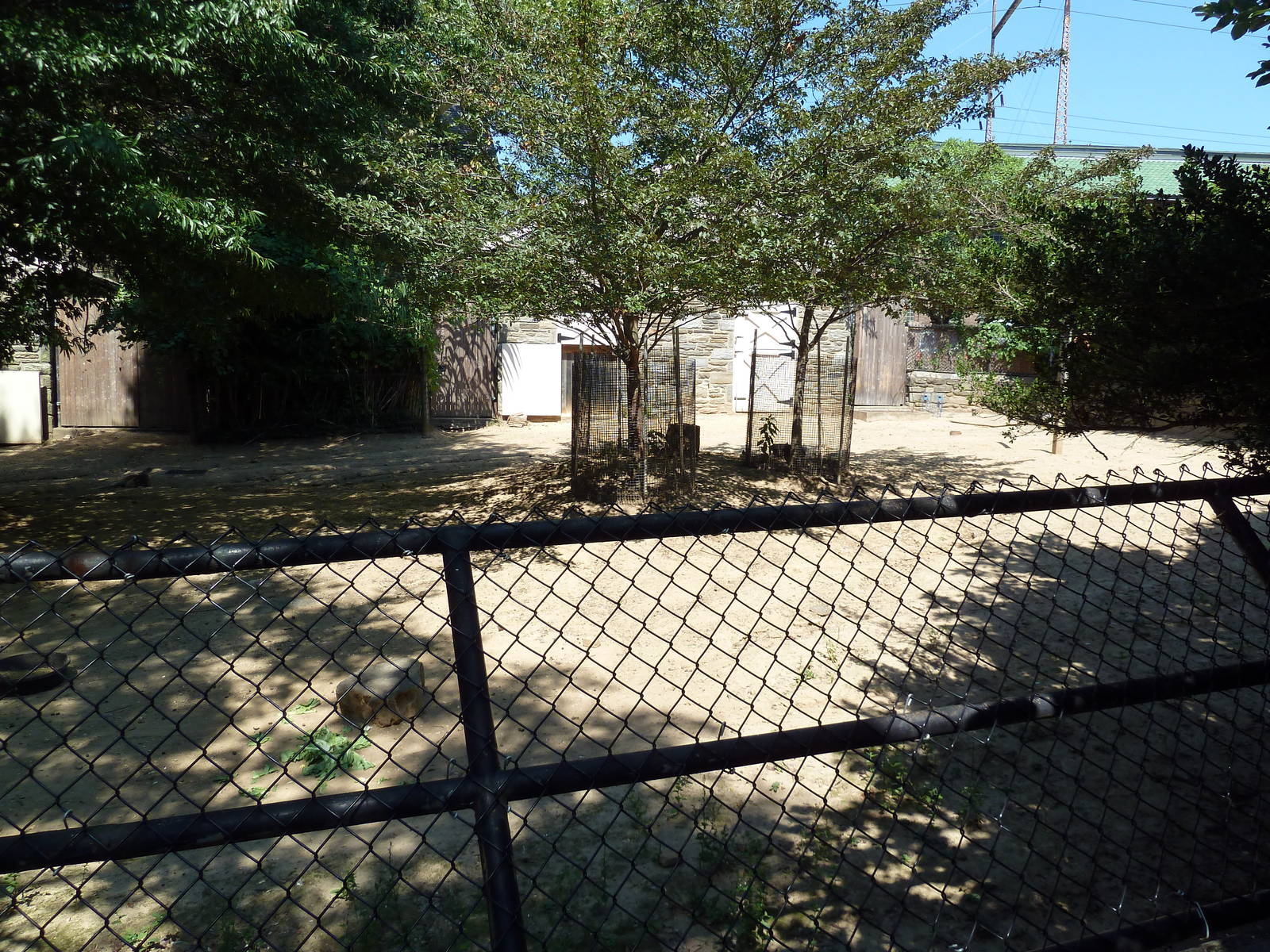Red Kangaroo/Emu/Bennett's Wallaby Exhibit