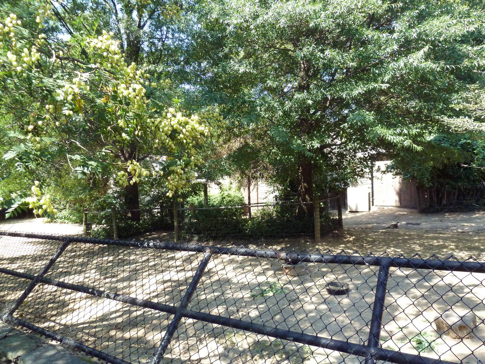 Red Kangaroo/Emu/Bennett's Wallaby Exhibit