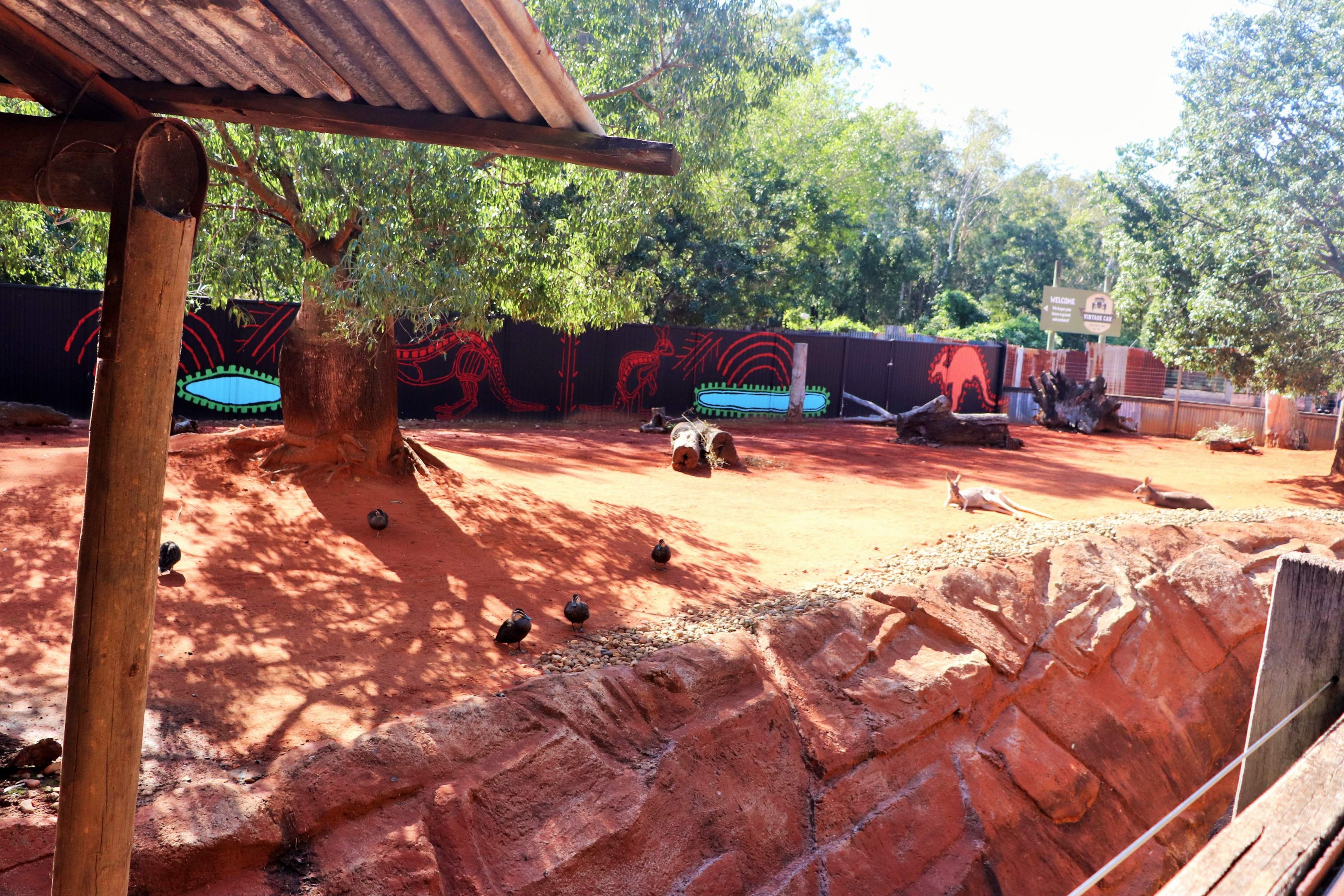 Red Kangaroo/ Emu Enclosure