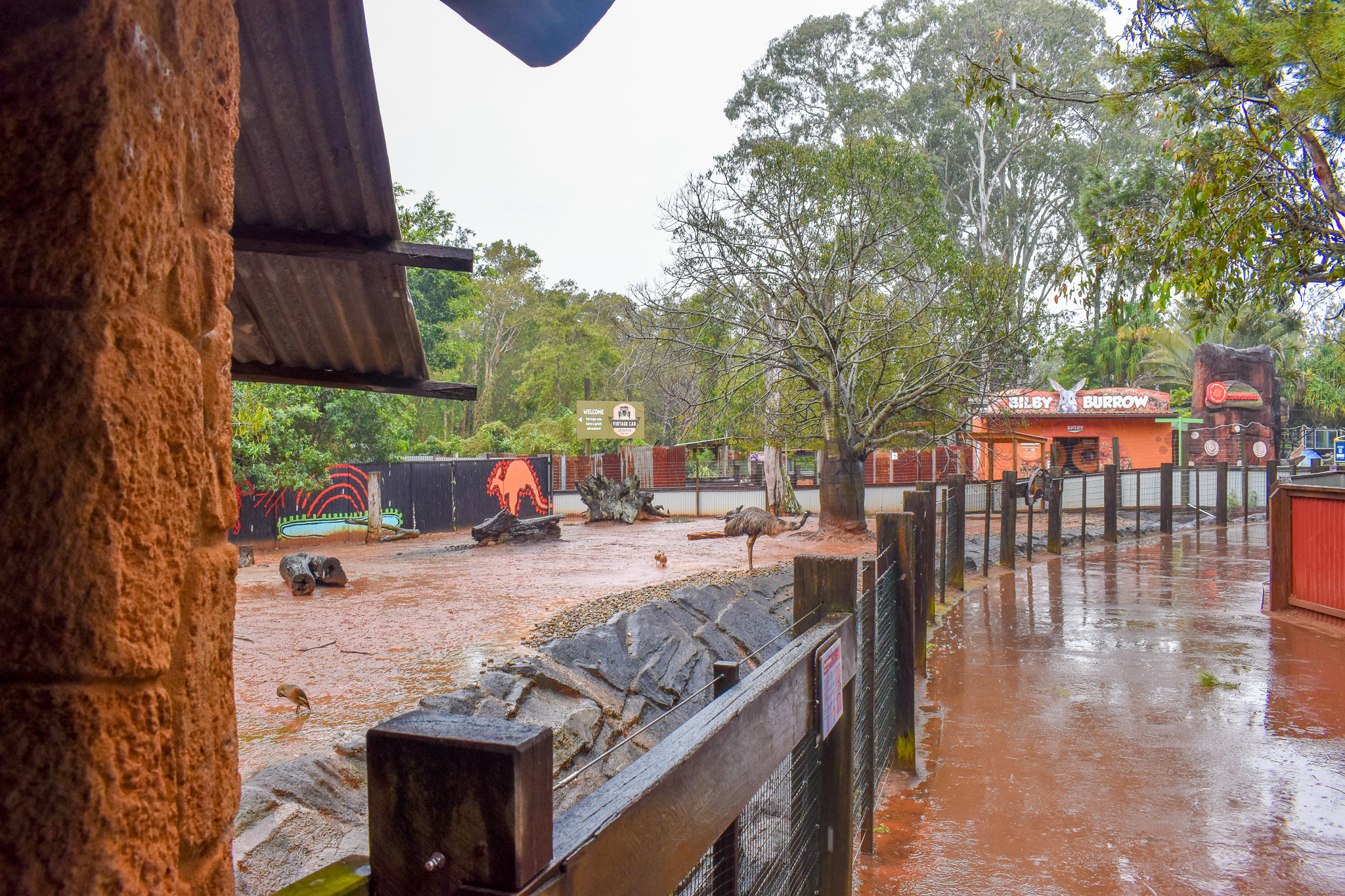 Red Kangaroo/Emu Enclosure