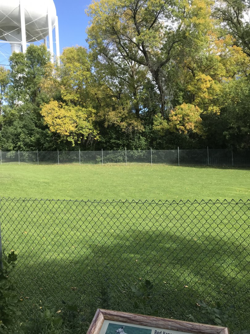 Red Kangaroo/Emu Exhibit