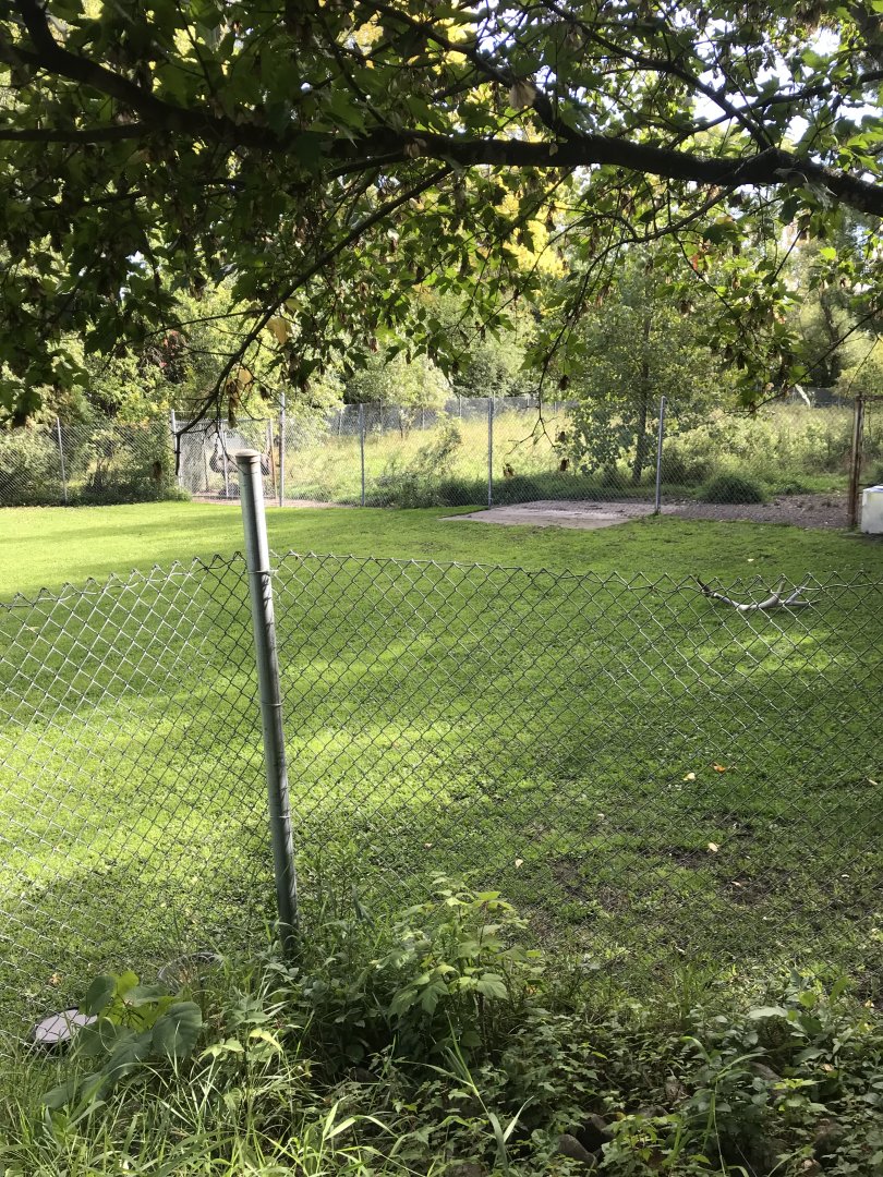 Red Kangaroo/Emu exhibit