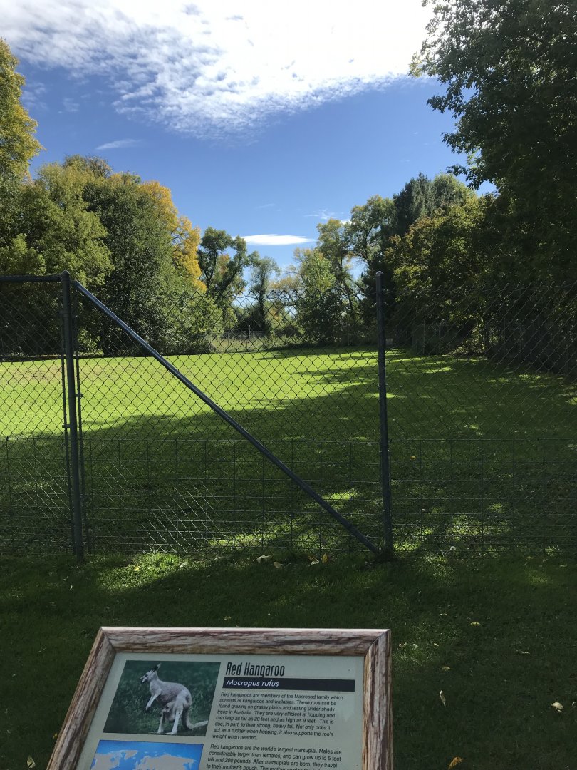 Red Kangaroo/Emu Exhibit