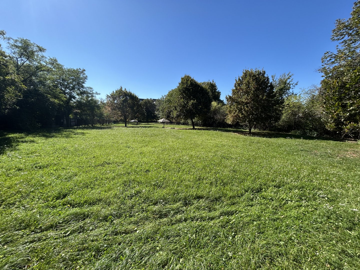 Red Kangaroo & Emu Exhibit