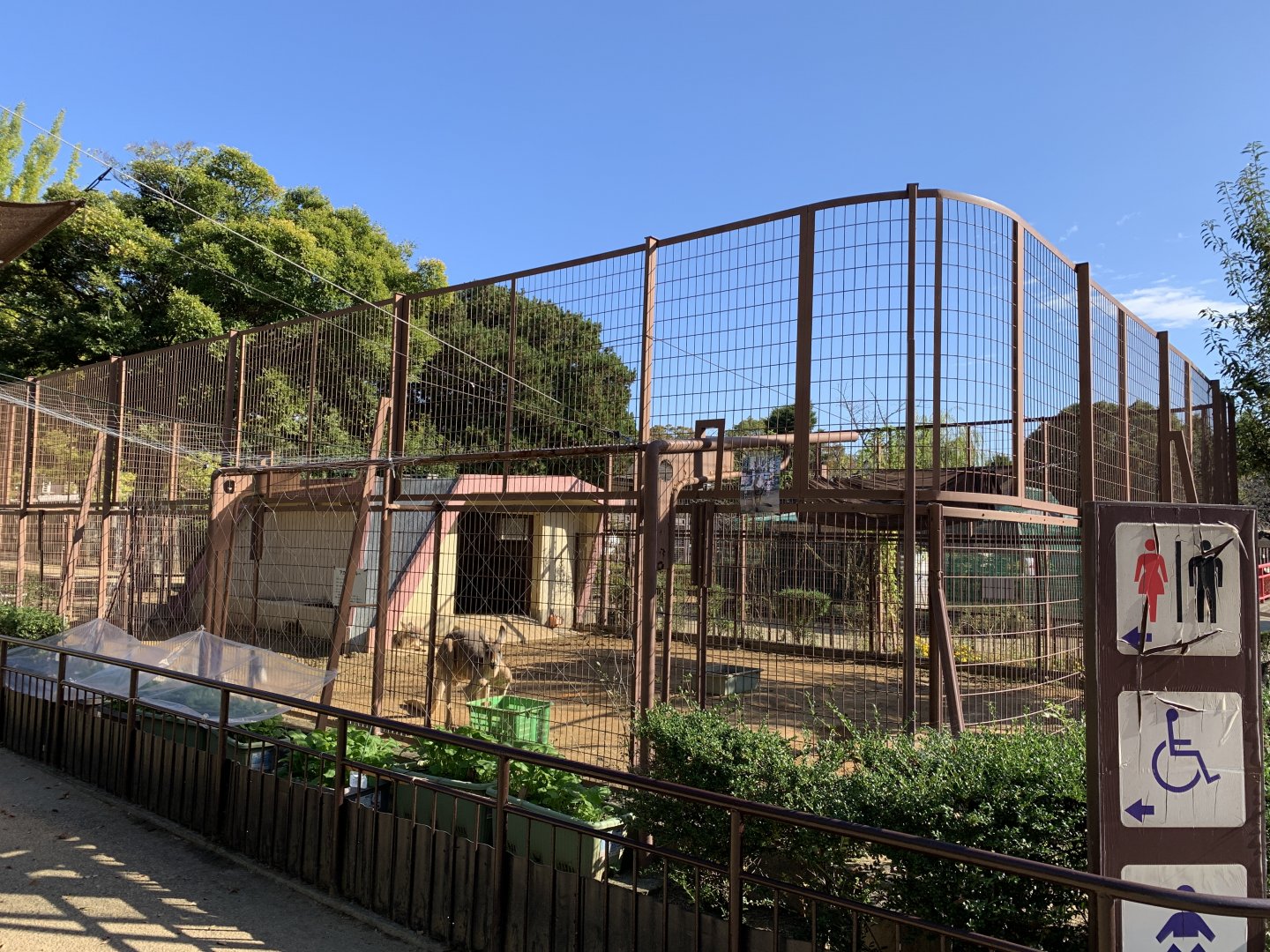 Red Kangaroo Enclosure (Himeji City Zoo)
