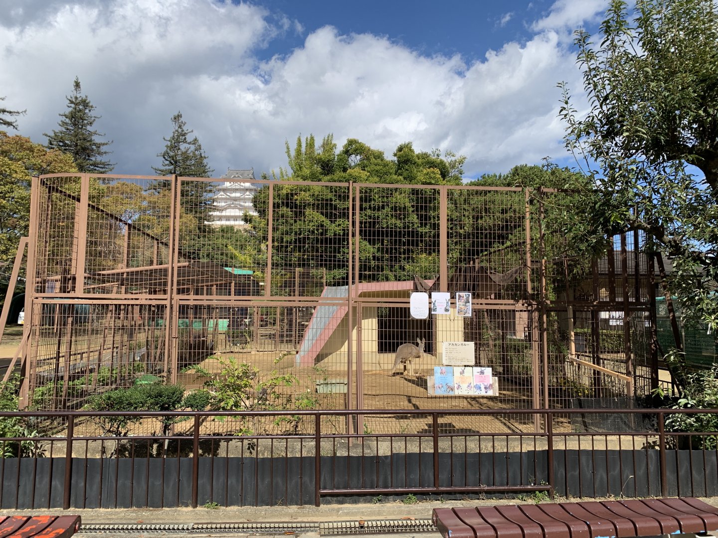 Red Kangaroo Enclosure (Himeji City Zoo)