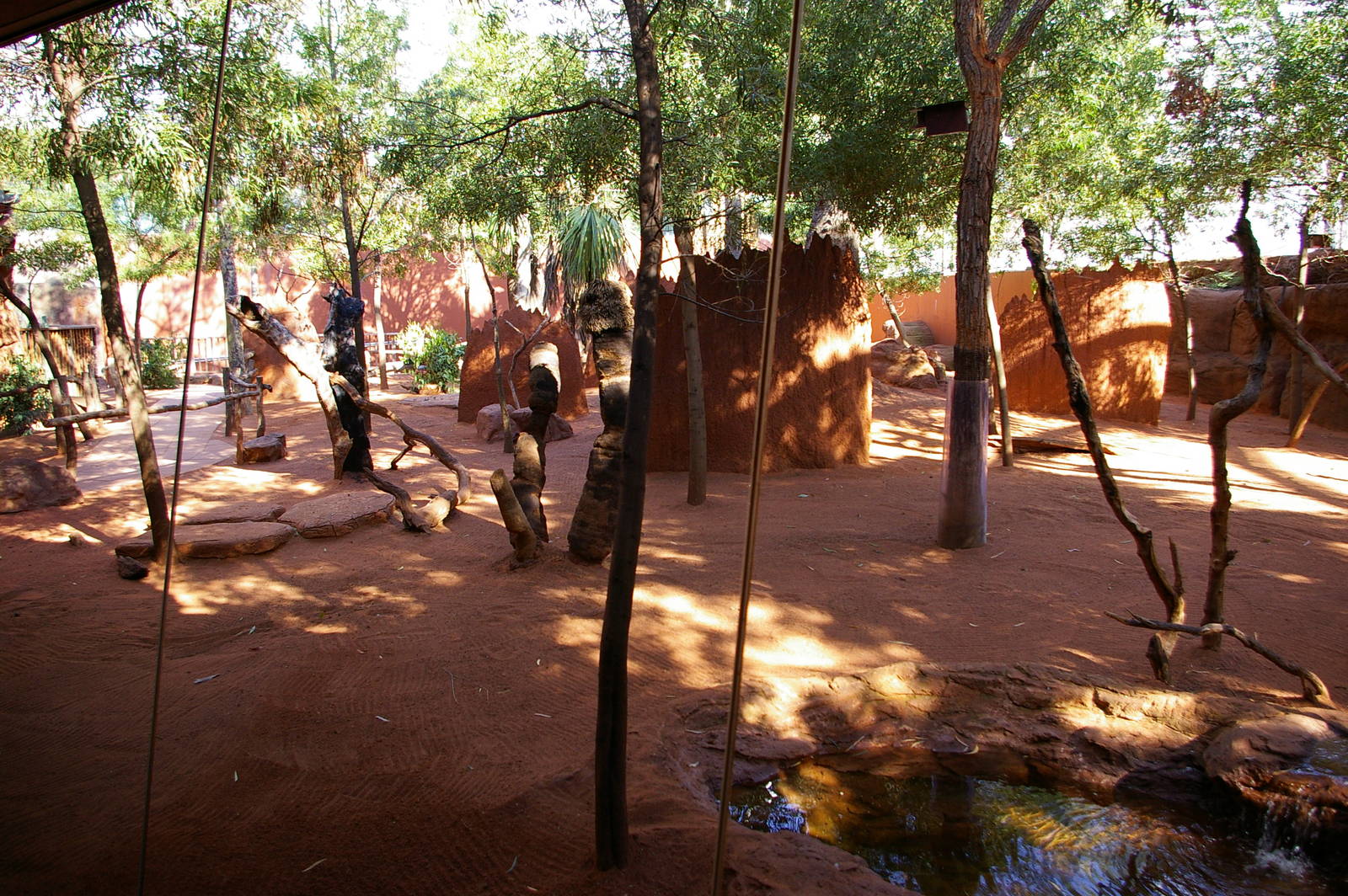 red kangaroo enclosure