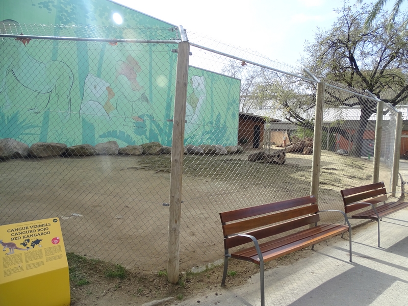 Red kangaroo enclosure