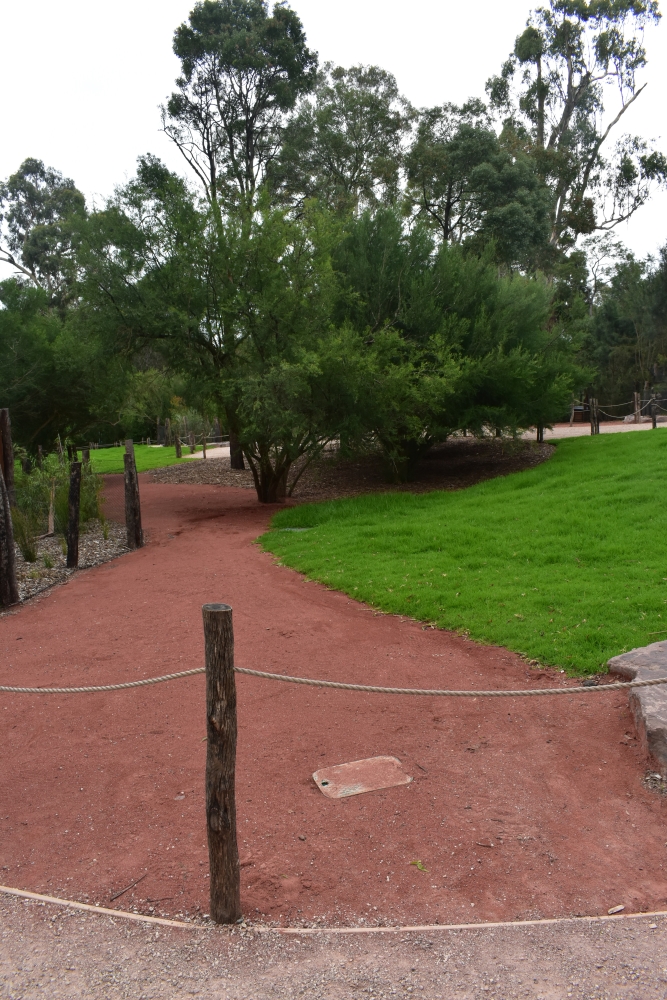 Red Kangaroo Enclosure