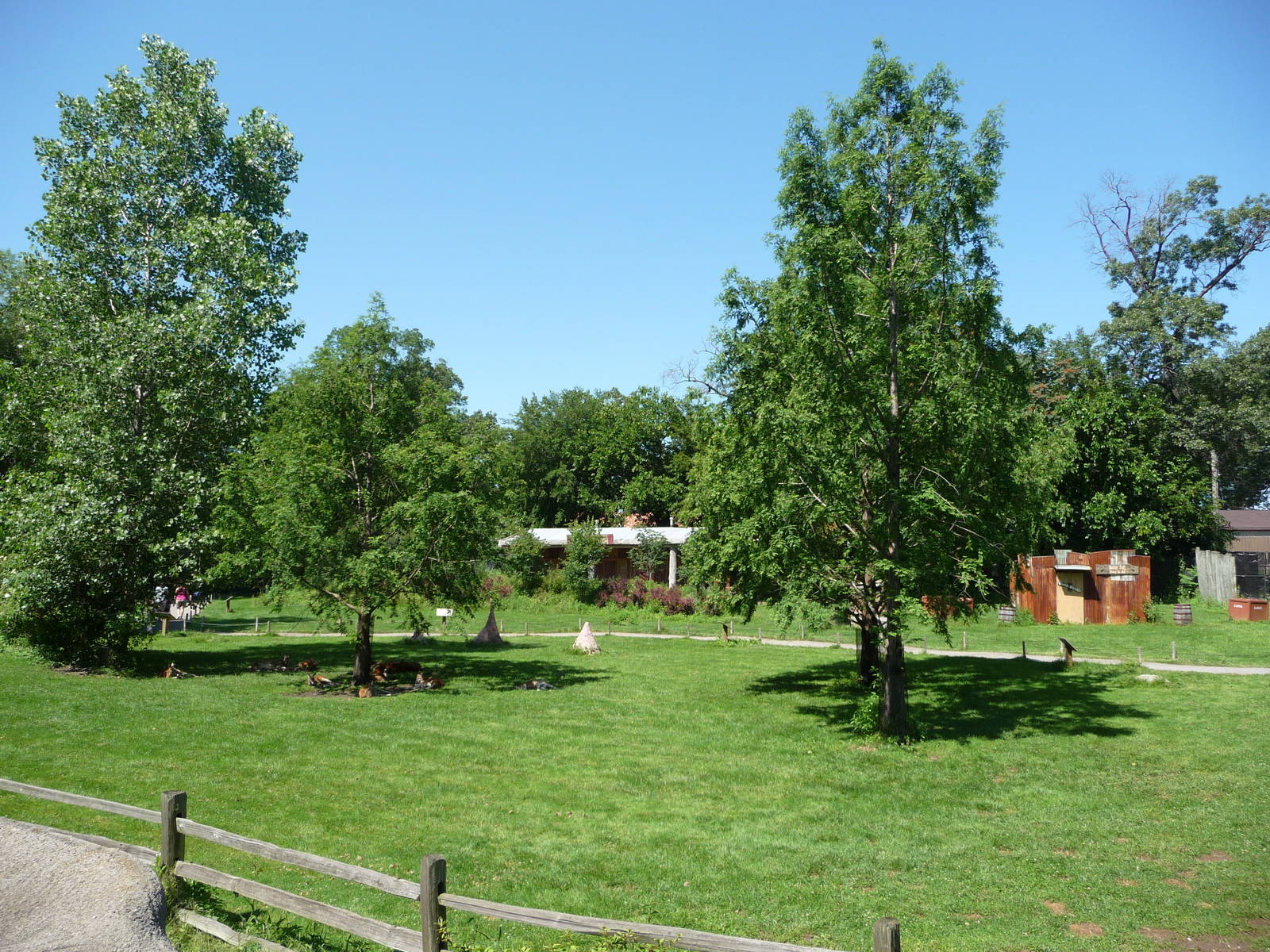 Red Kangaroo Exhibit - Detroit Zoo