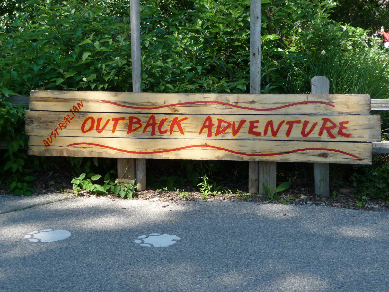 Red Kangaroo Exhibit - Detroit Zoo