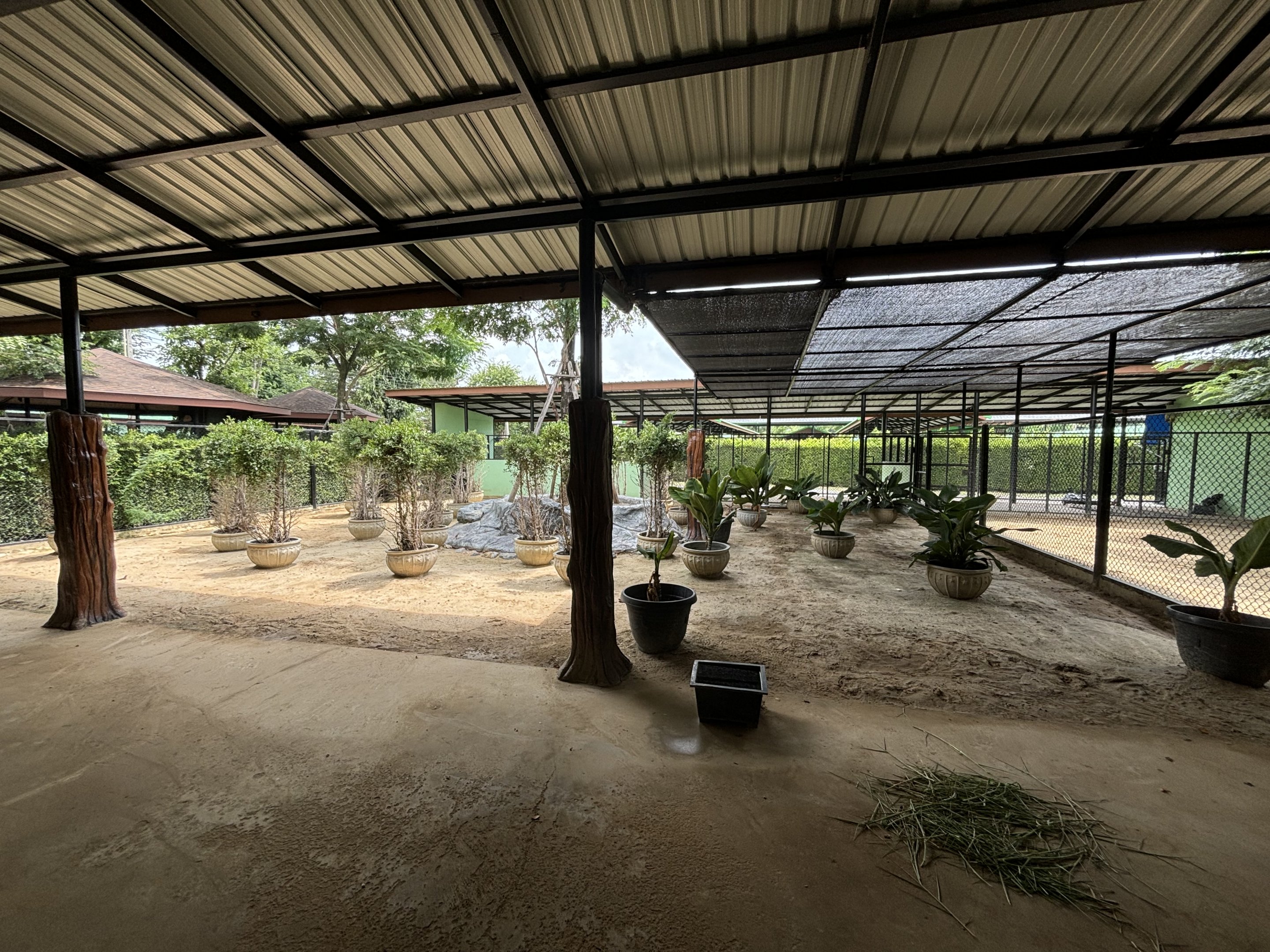 Red Kangaroo Exhibit - Lion Park