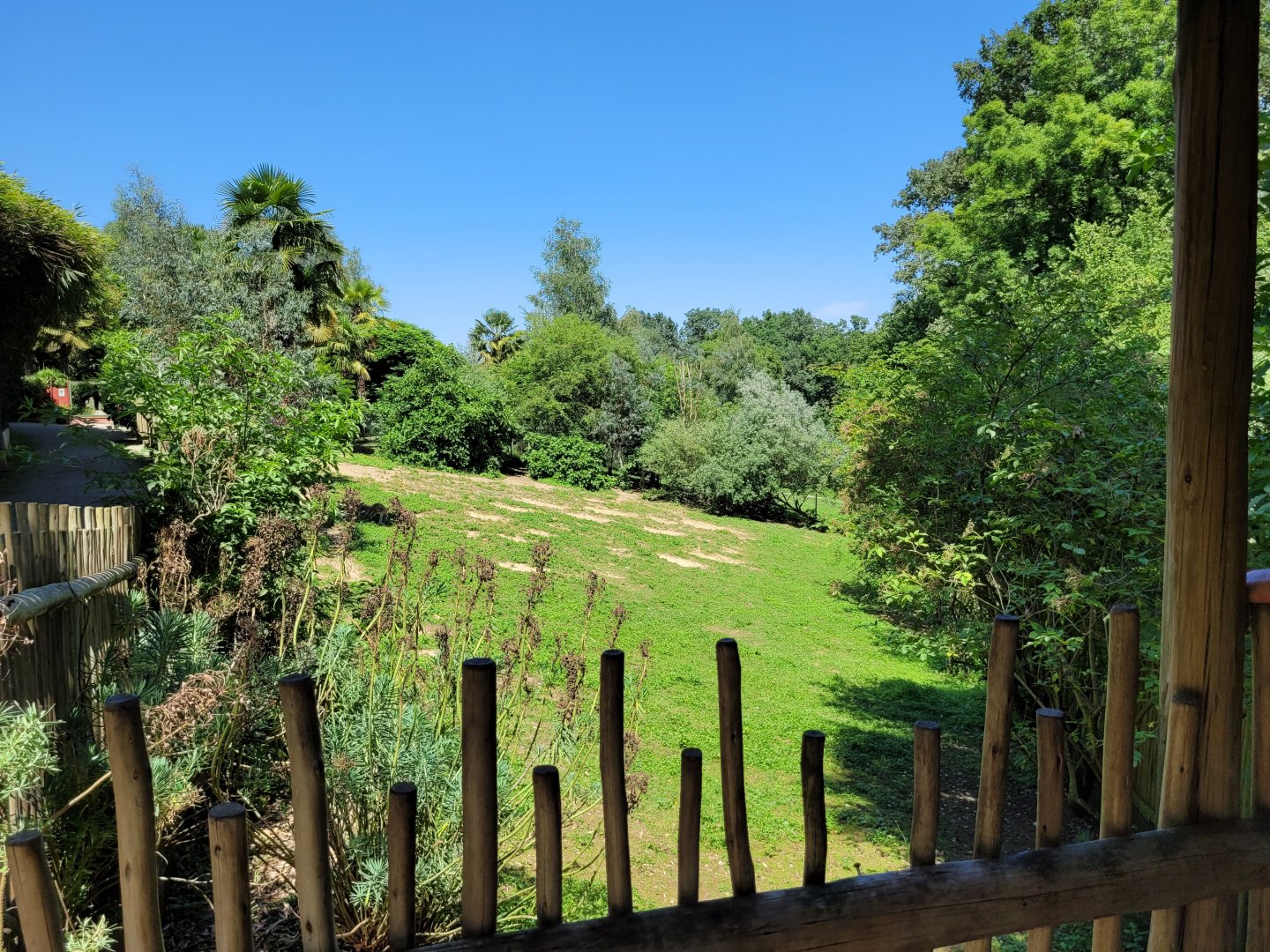 Red kangaroo exhibit -Zoo d'Asson (2022)