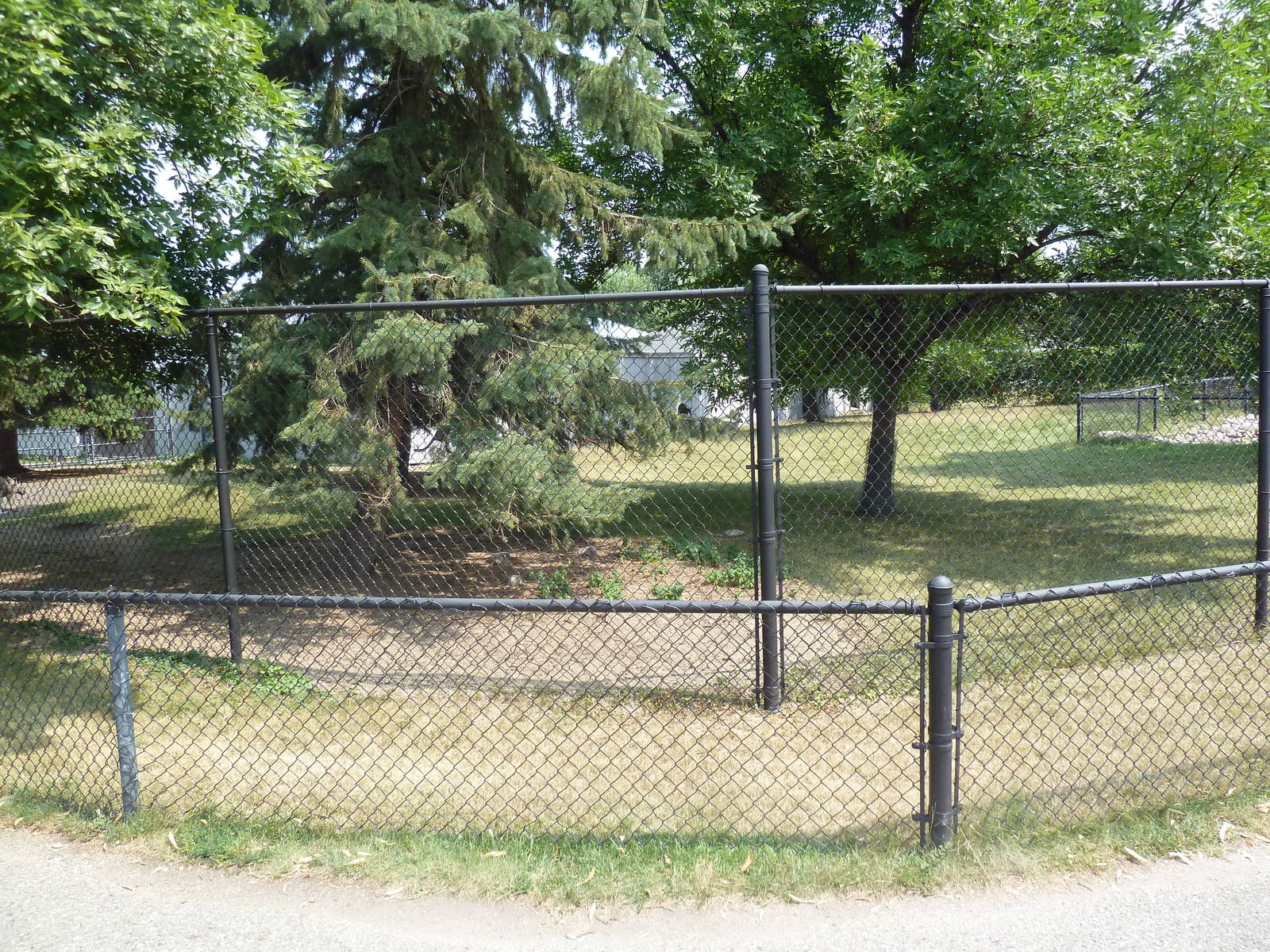 Red Kangaroo Exhibit