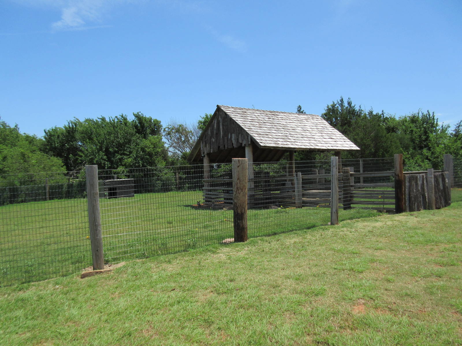 Red Kangaroo Exhibit