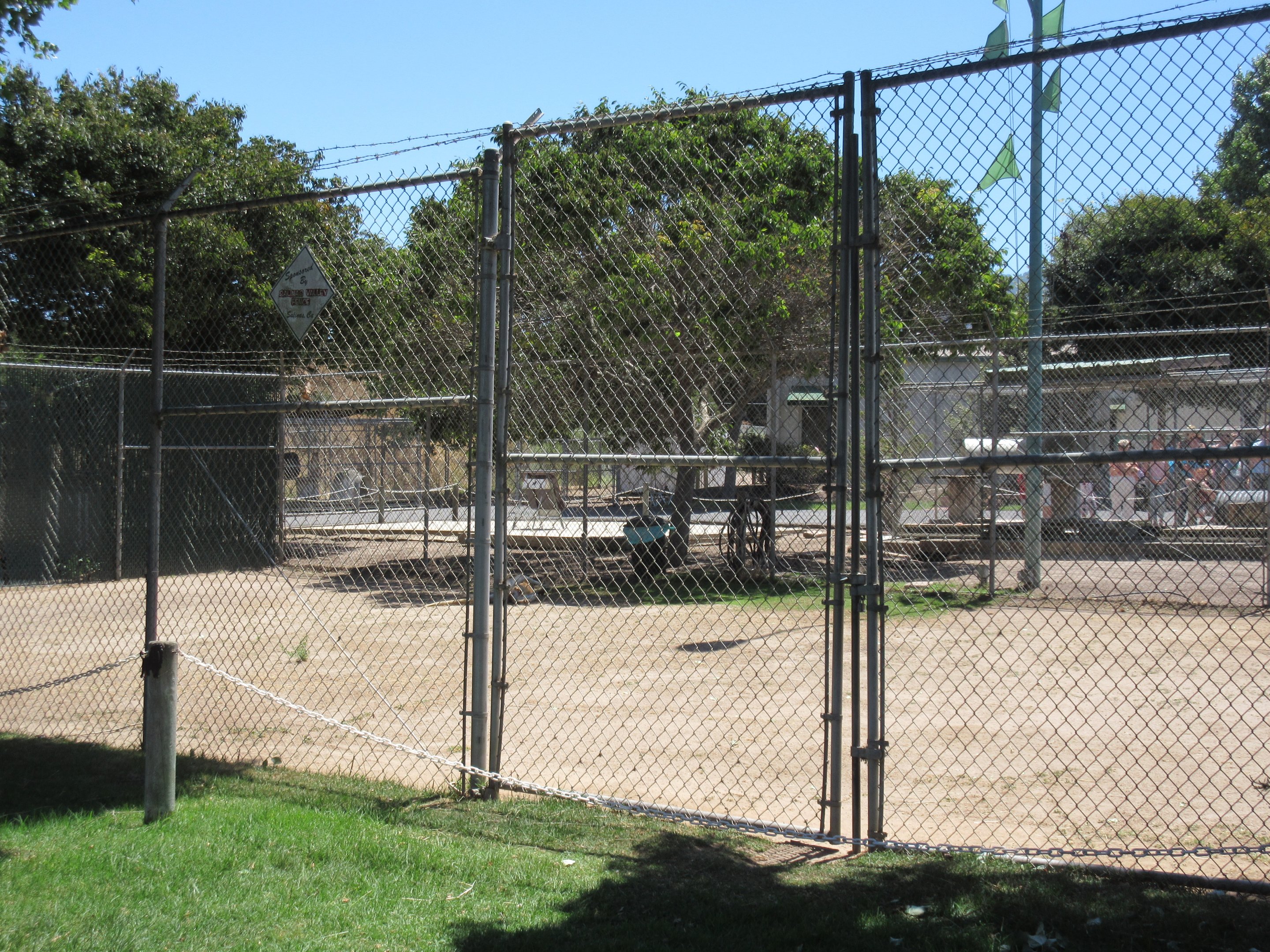 Red Kangaroo Exhibit