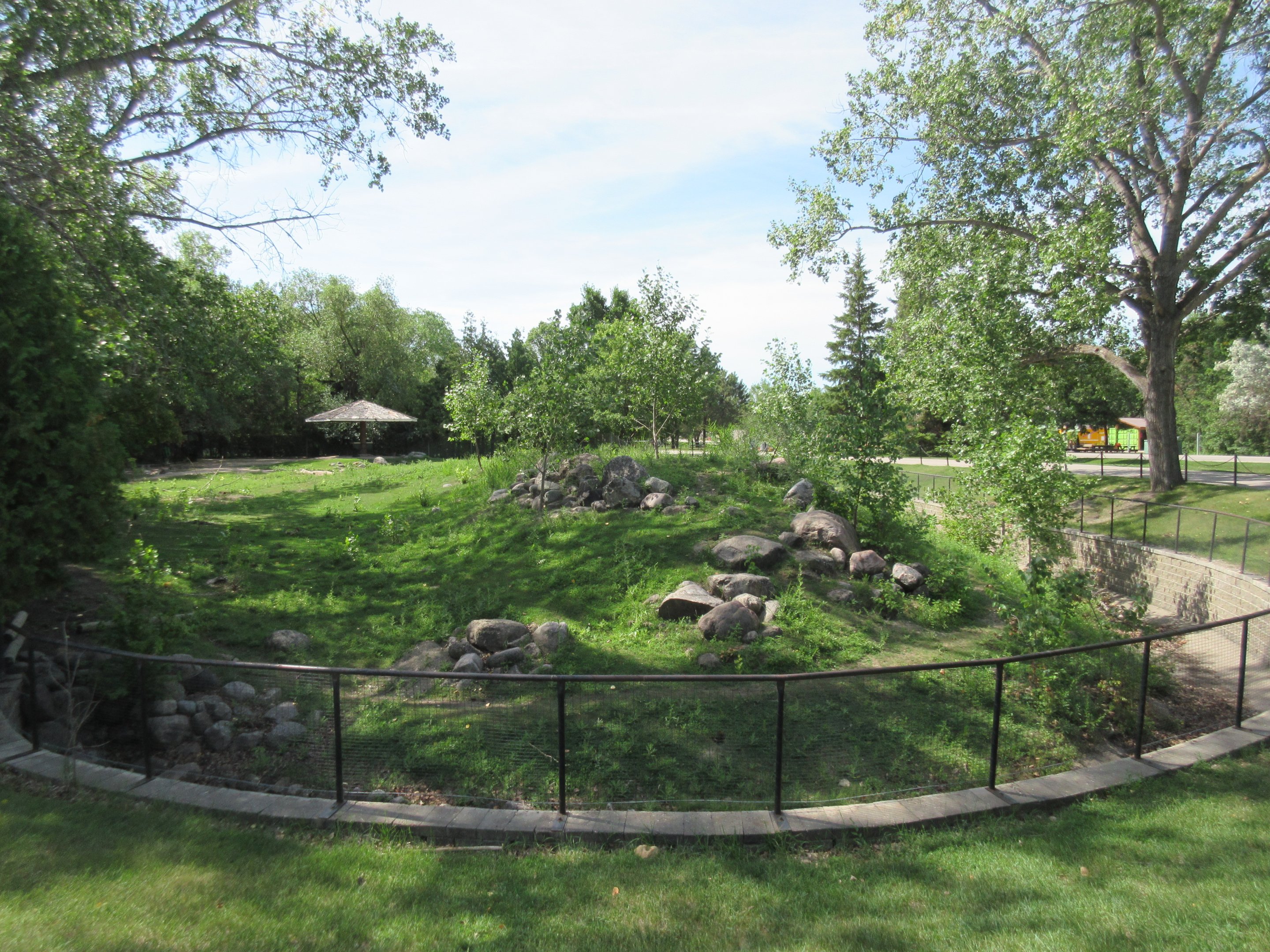 Red Kangaroo Exhibit