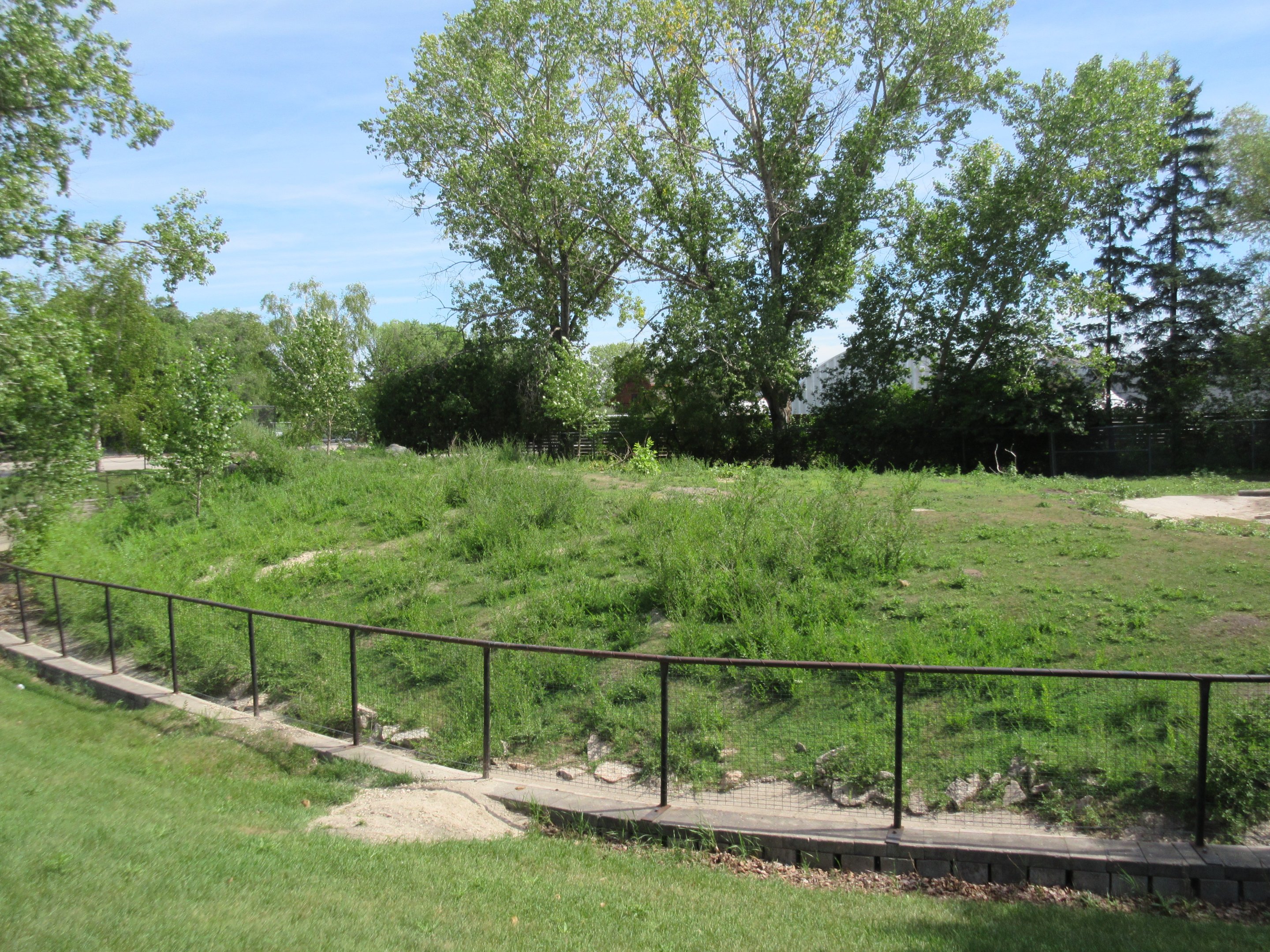 Red Kangaroo Exhibit