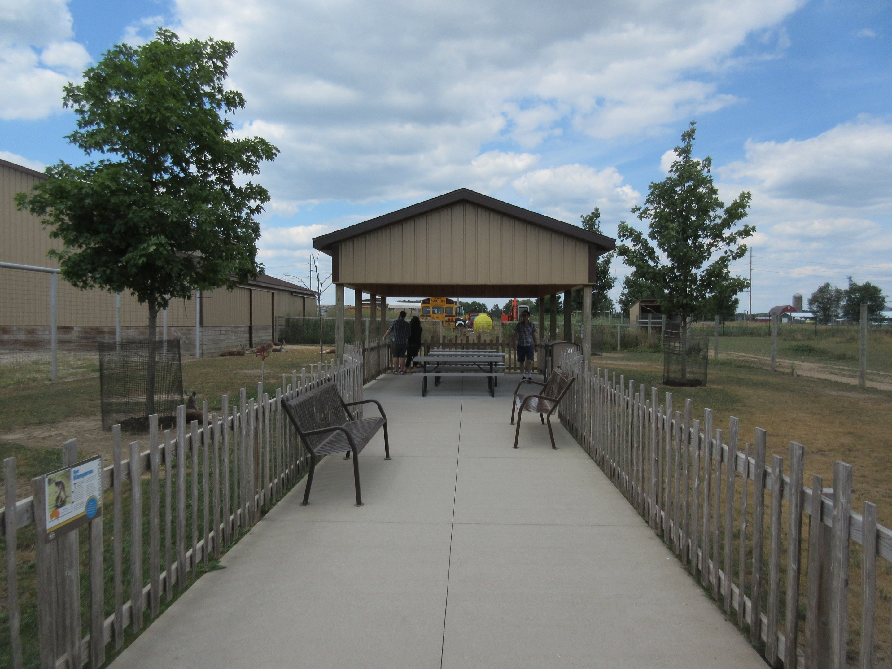 Red Kangaroo Exhibit