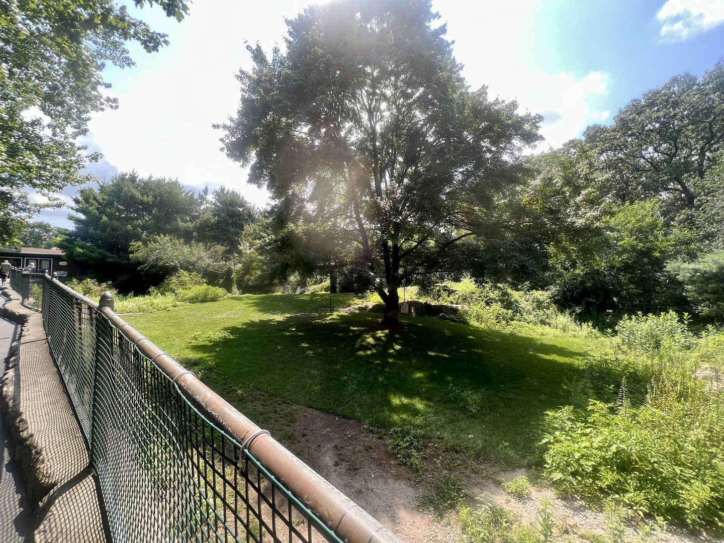 Red Kangaroo Exhibit