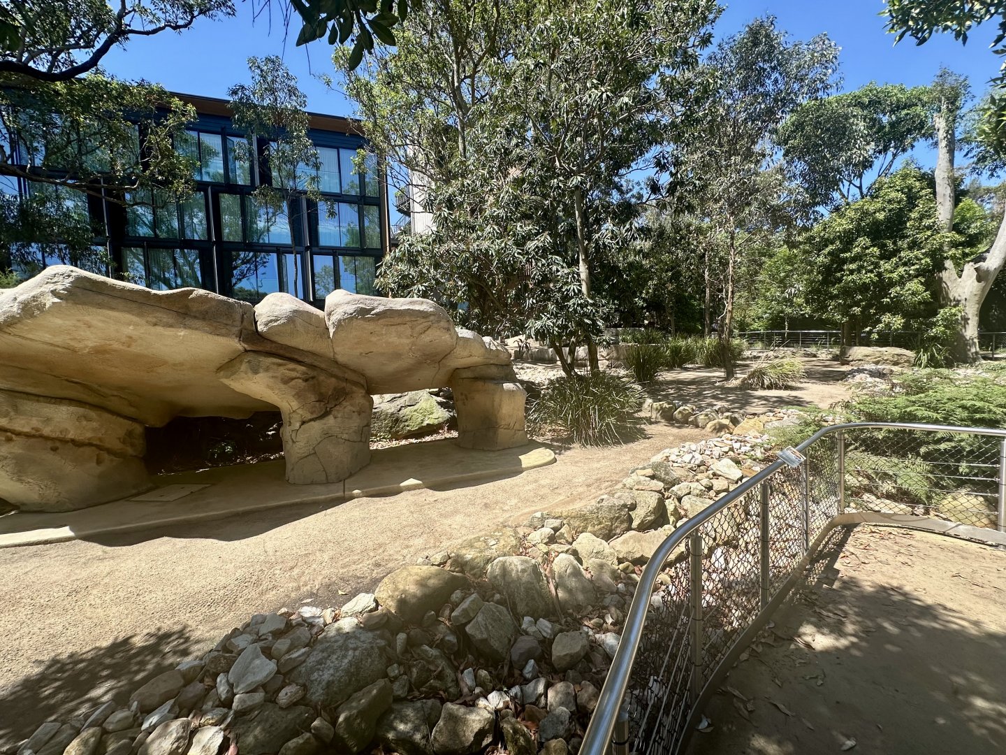 Red Kangaroo Exhibit