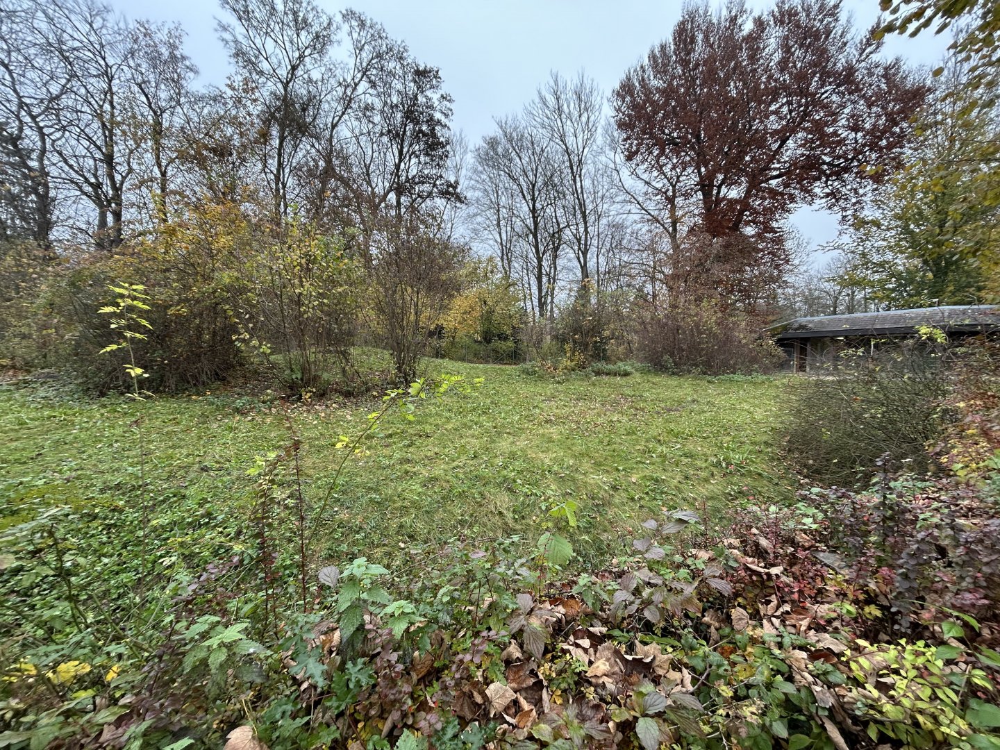Red Kangaroo Exhibit
