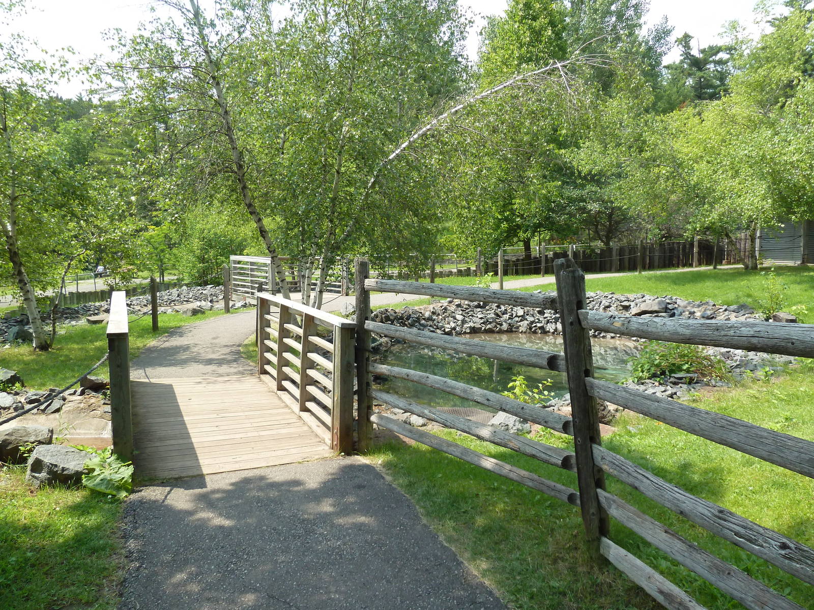 Red Kangaroo Walk-Through Exhibit