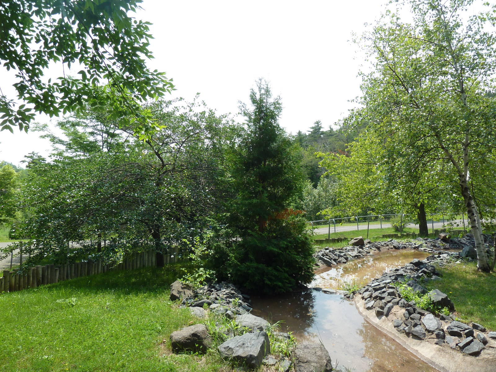 Red Kangaroo Walk-Through Exhibit