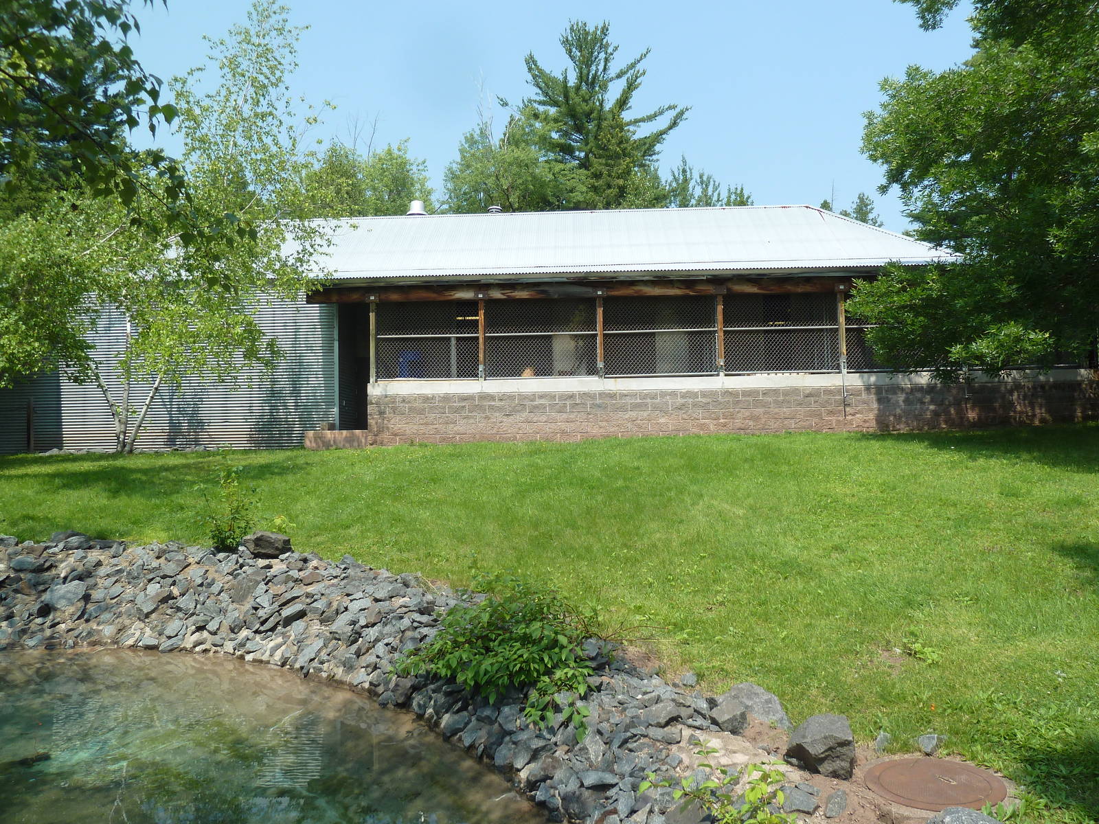 Red Kangaroo Walk-Through Exhibit
