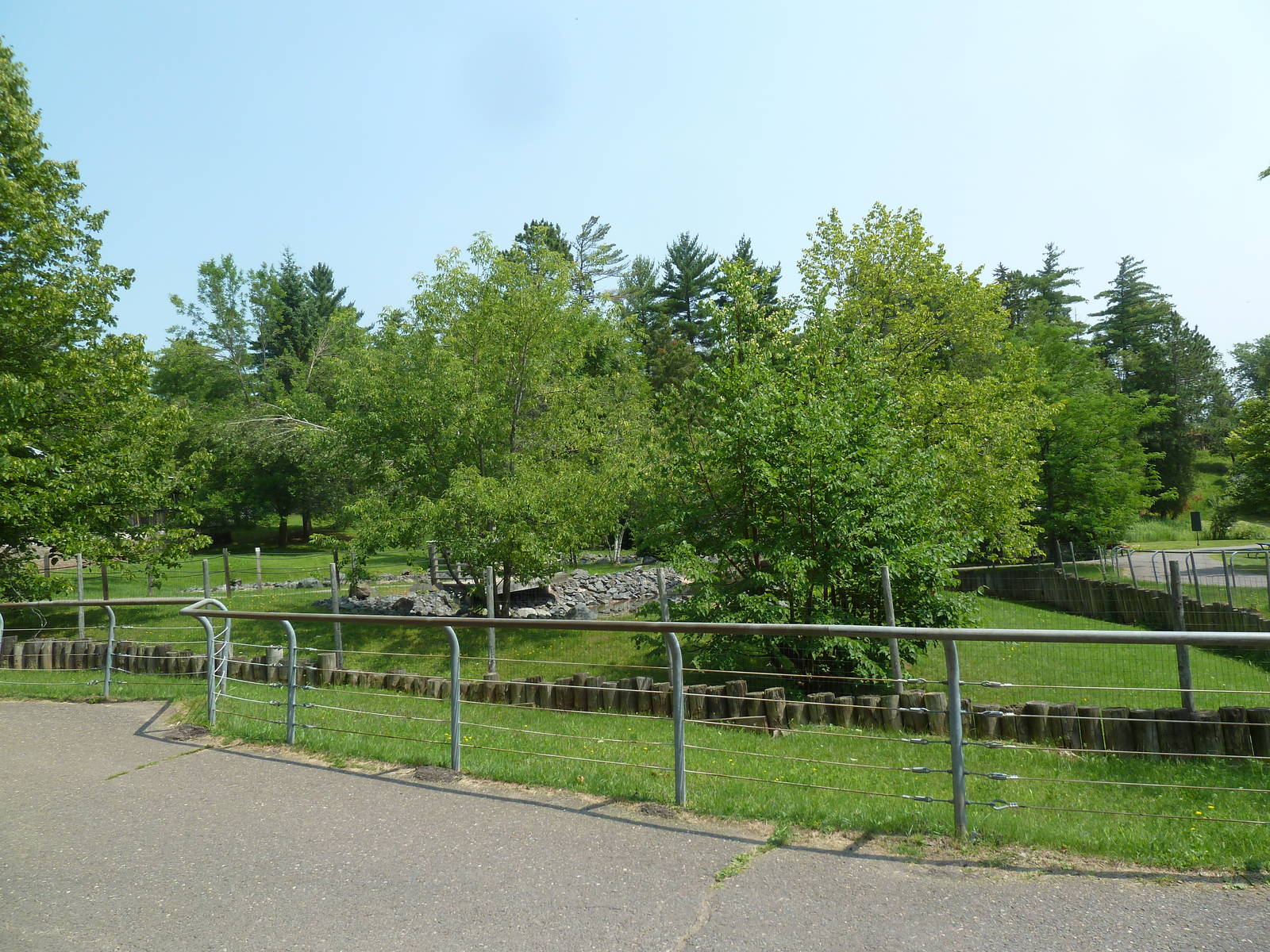 Red Kangaroo Walk-Through Exhibit