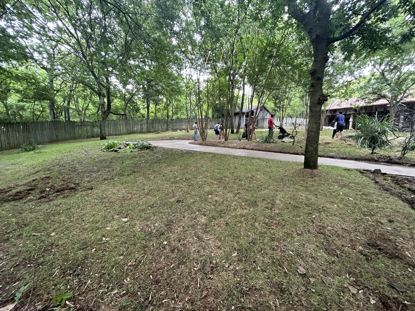 Red Kangaroo Walkthrough Exhibit