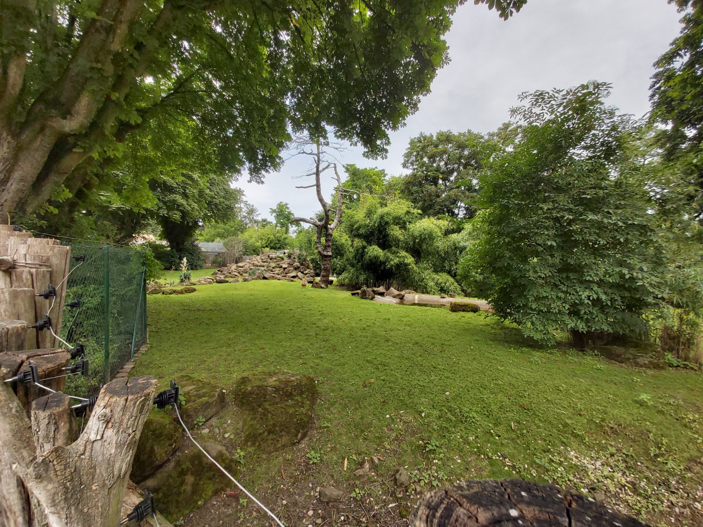 Red kangaroo & yellow-footed rock wallaby enclosure