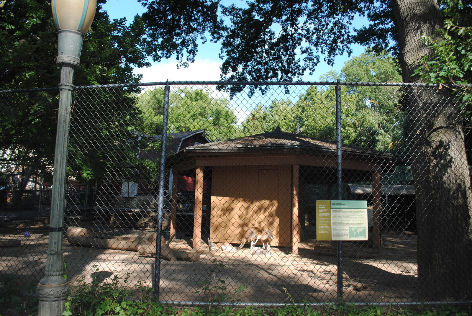 Red Kangaroos/Emus exhibit